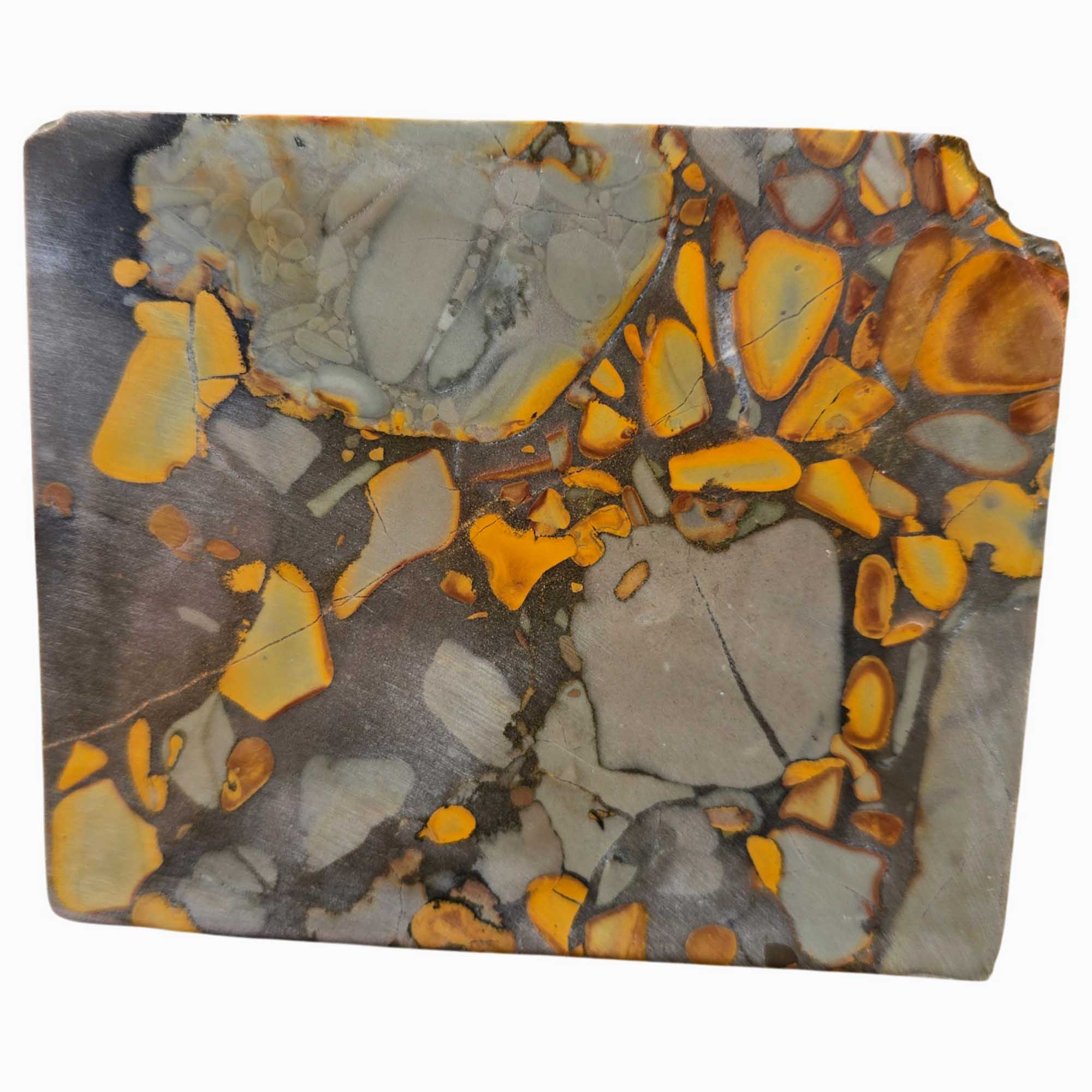 Bamboo Jasper Slab – Classic Bamboo Pattern – Indonesian Conglomerate