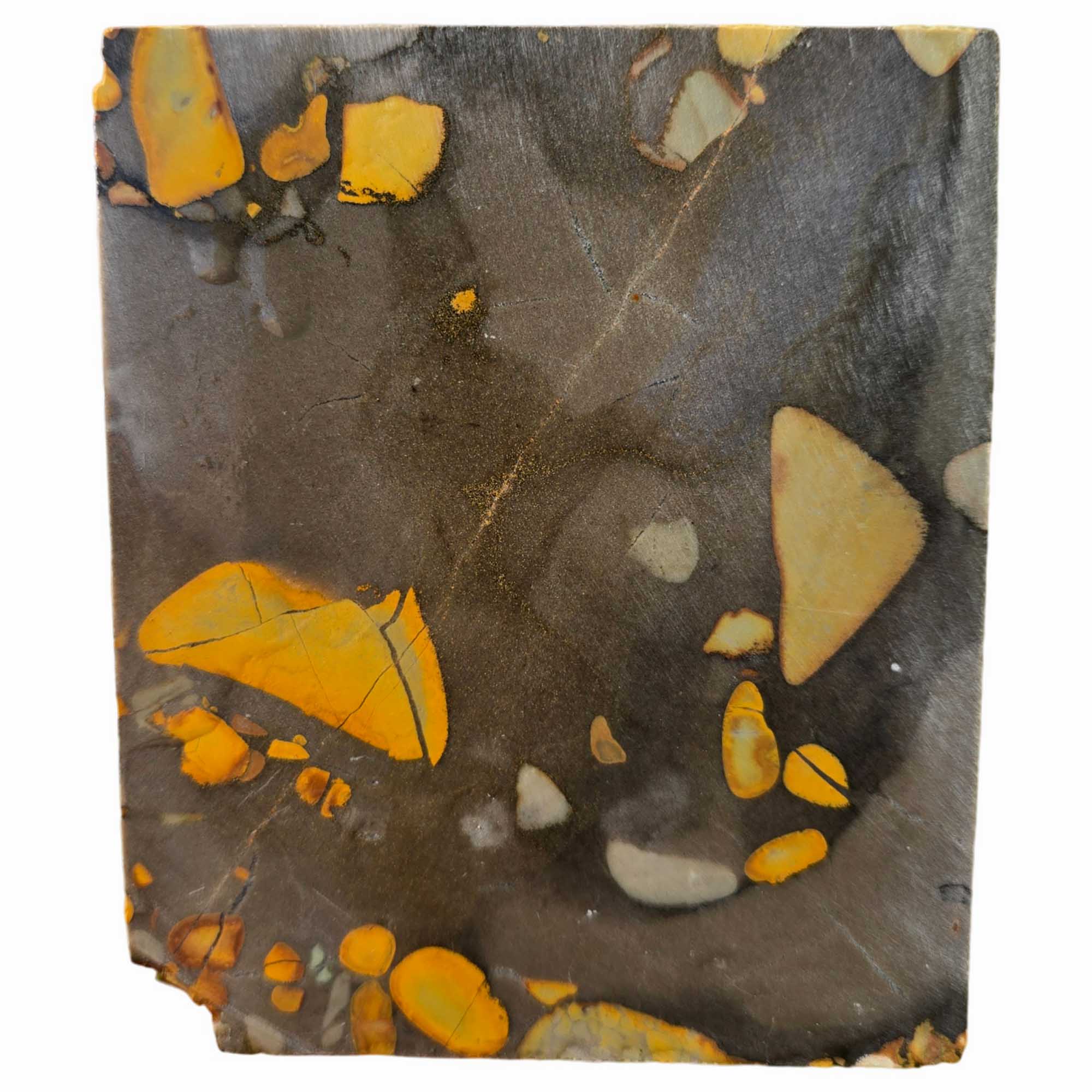 Bamboo Jasper Slab – Classic Bamboo Pattern – Indonesian Conglomerate
