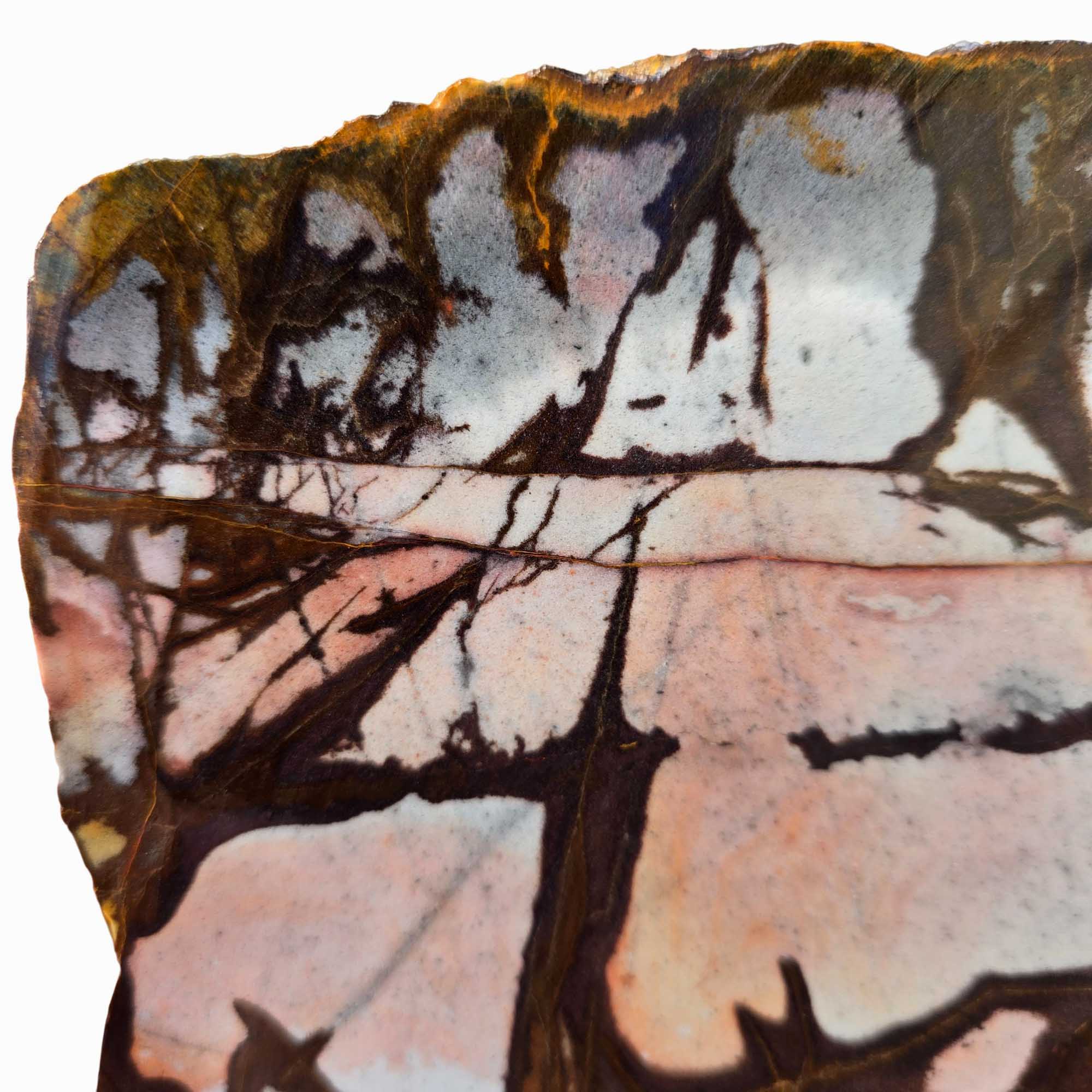 Outback Jasper Slab – Sunset Colors Dendritic Pattern – Western Australia