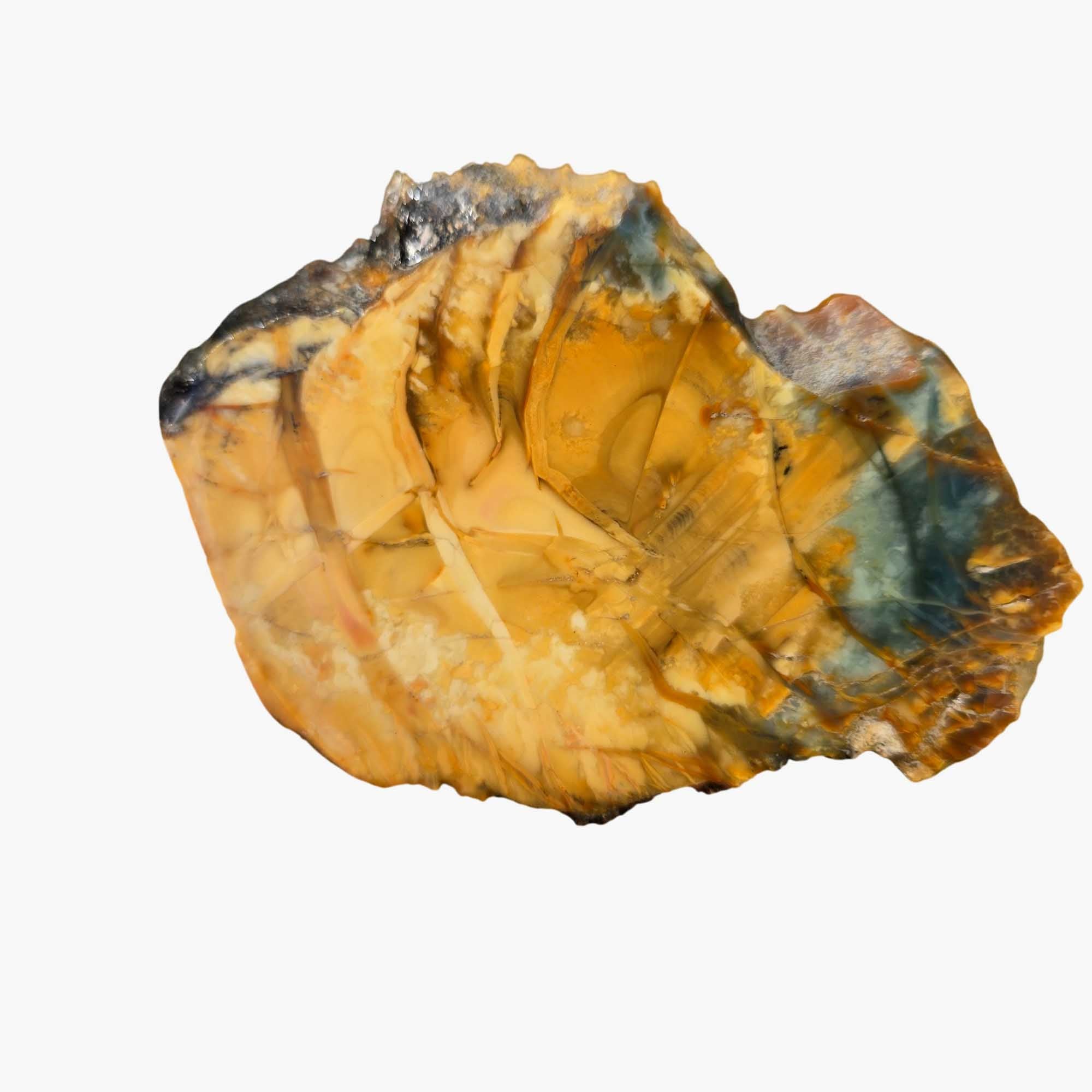 Morrisonite Jasper Slab – Butterscotch Sky Blue Orb Formations #3658-Photo2