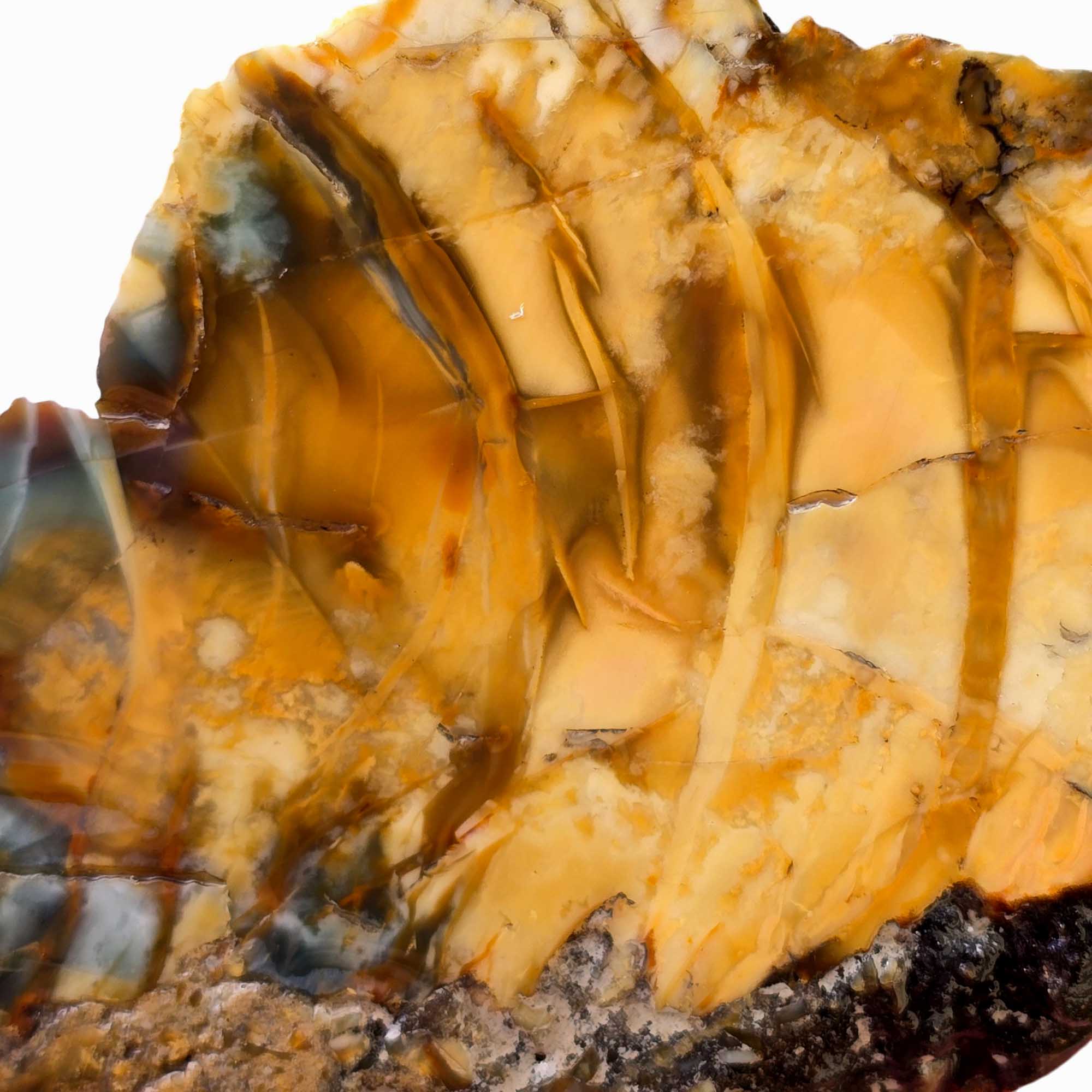 Morrisonite Jasper Slab – Butterscotch Sky Blue Orb Formations #3658-Photo3