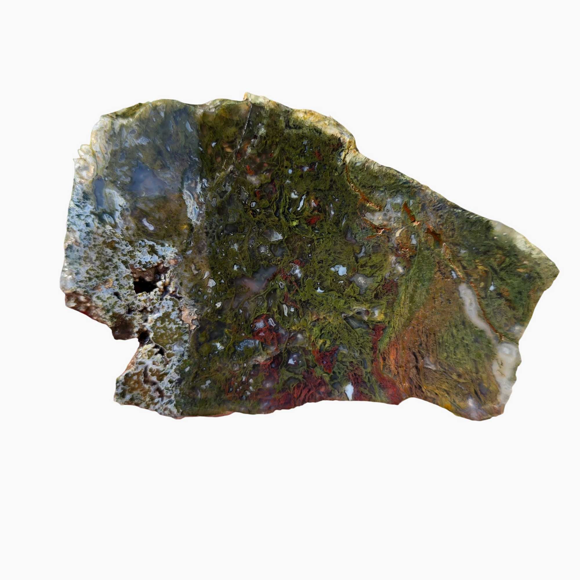 Maury Mountain Moss Agate Slab Green Red Moss Oregon Classic #3659-Photo1