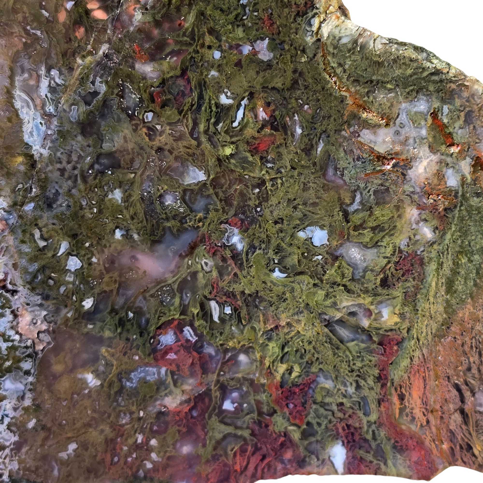 Maury Mountain Moss Agate Slab Green Red Moss Oregon Classic #3659-Photo2
