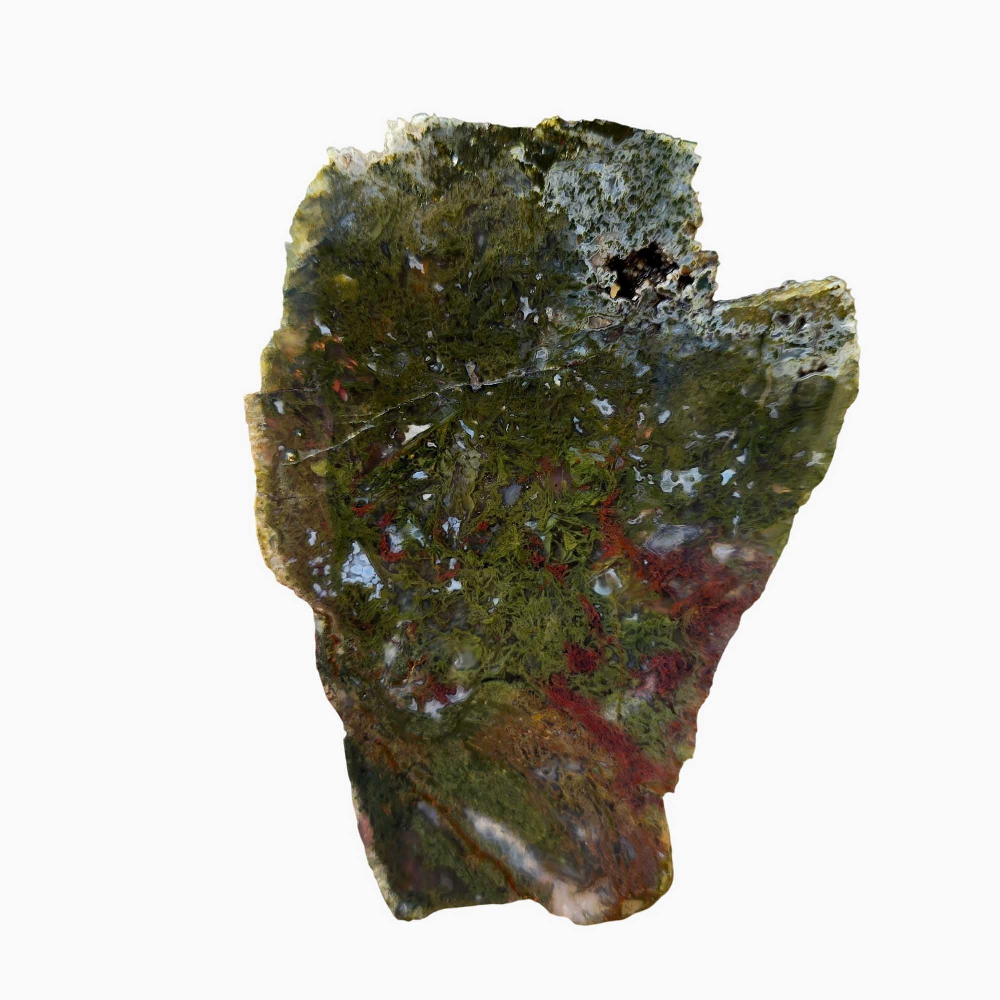 Maury Mountain Moss Agate Slab Green Red Moss Oregon Classic #3659-Photo3