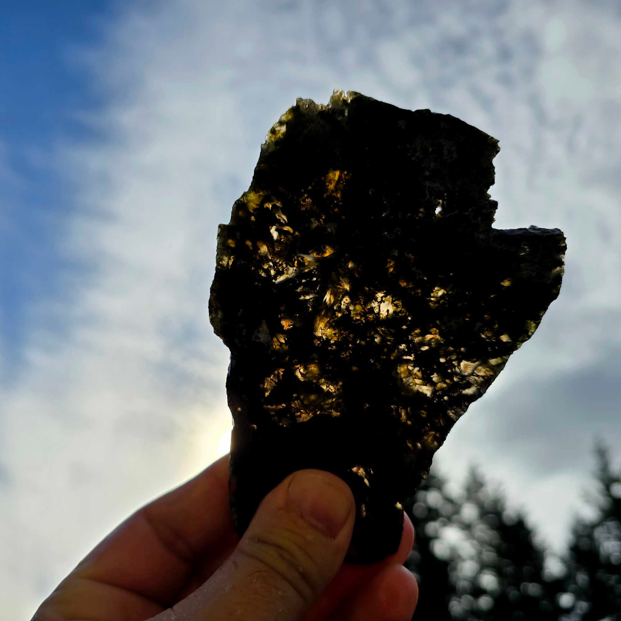 Maury Mountain Moss Agate Slab Green Red Moss Oregon Classic #3659-Photo4