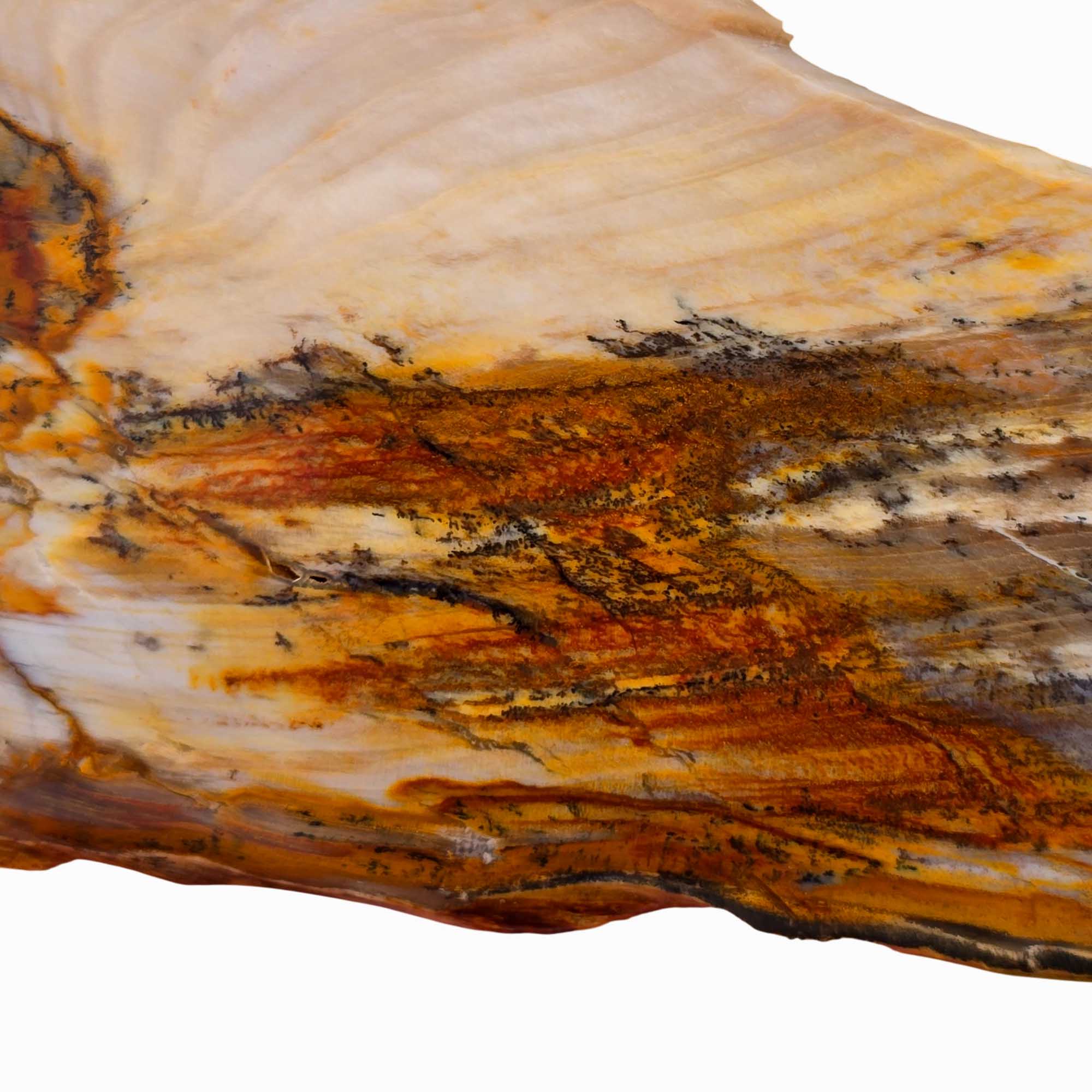 Mystery Petrified Wood Slab – Rustic Woodgrain Pattern Vintage Cut #3660-Photo2