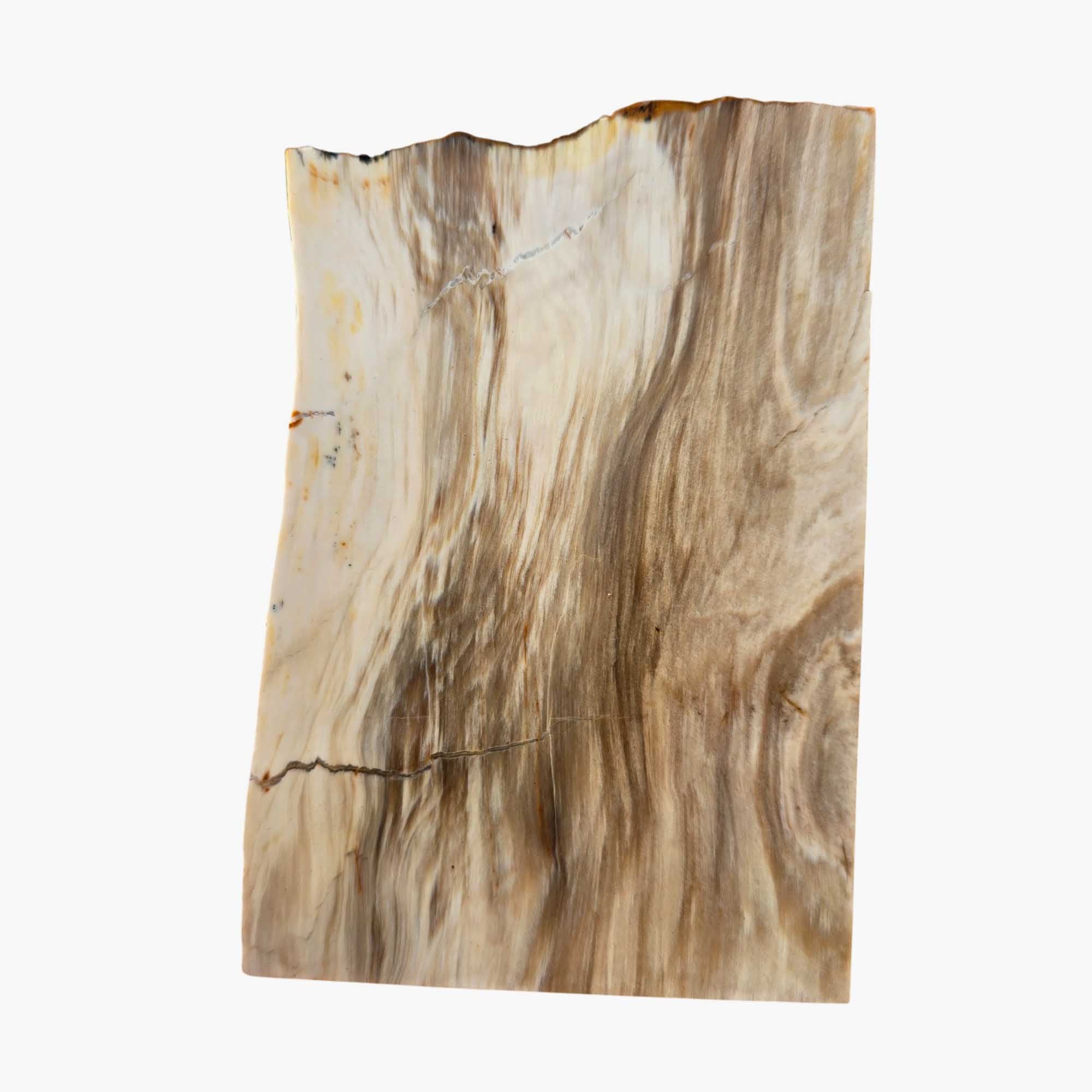 Mystery Petrified Wood Slab – Wispy White Caramel Agate Lightning #3661-3