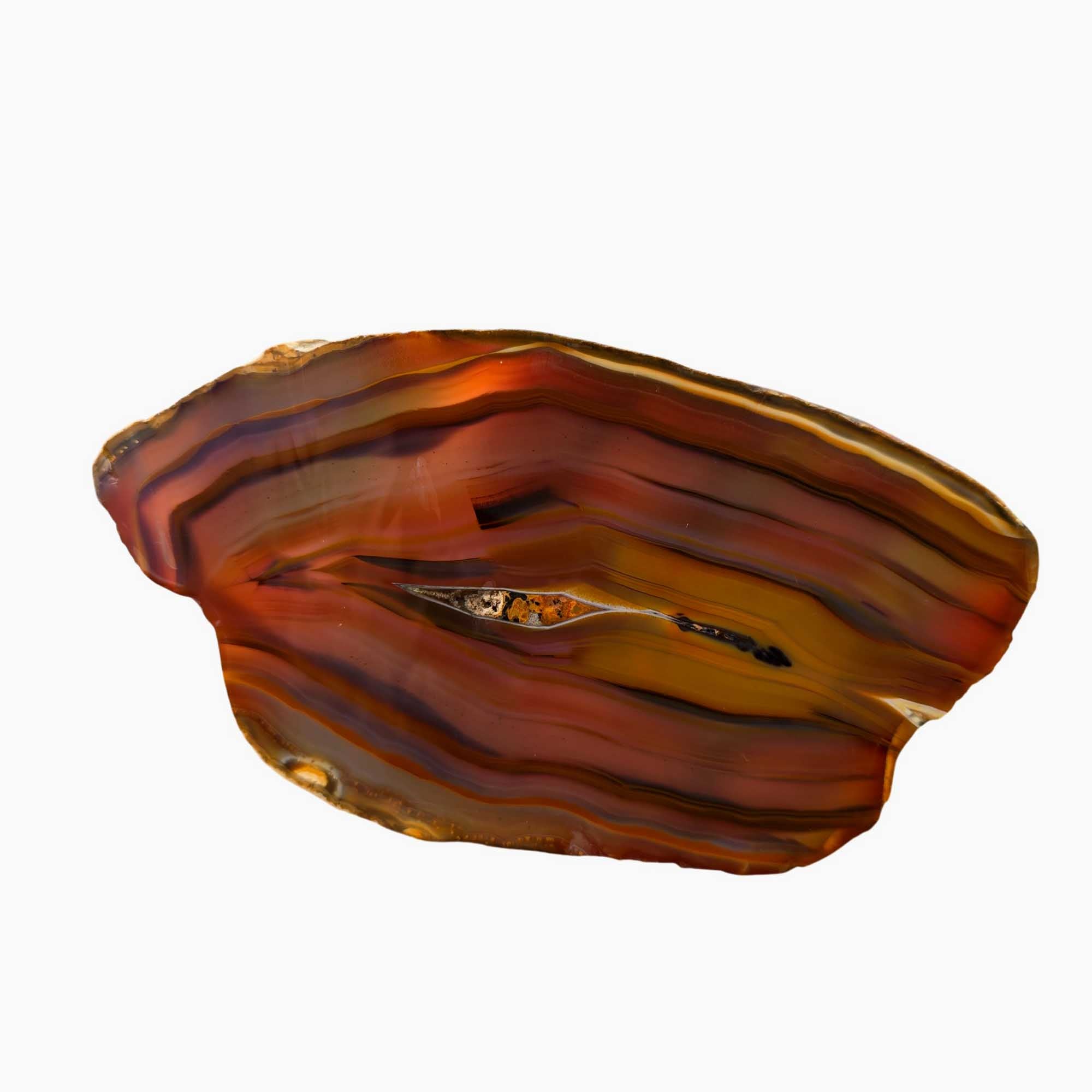 Brazilian Agate Slab – Transparent Piranha Colors Red Orange Backlit #3663-Photo2