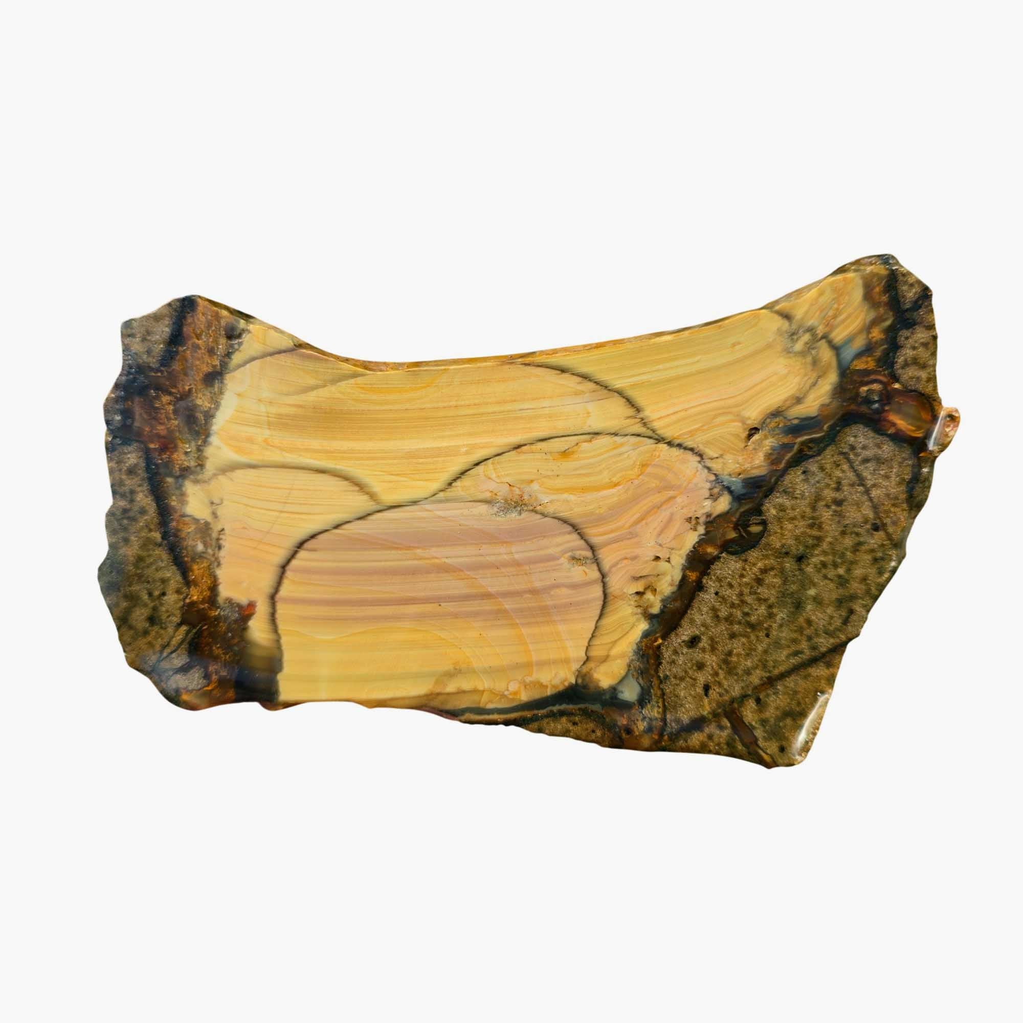 Blue Mountain Jasper Slab - Bubbly Orb Pattern - Oregon