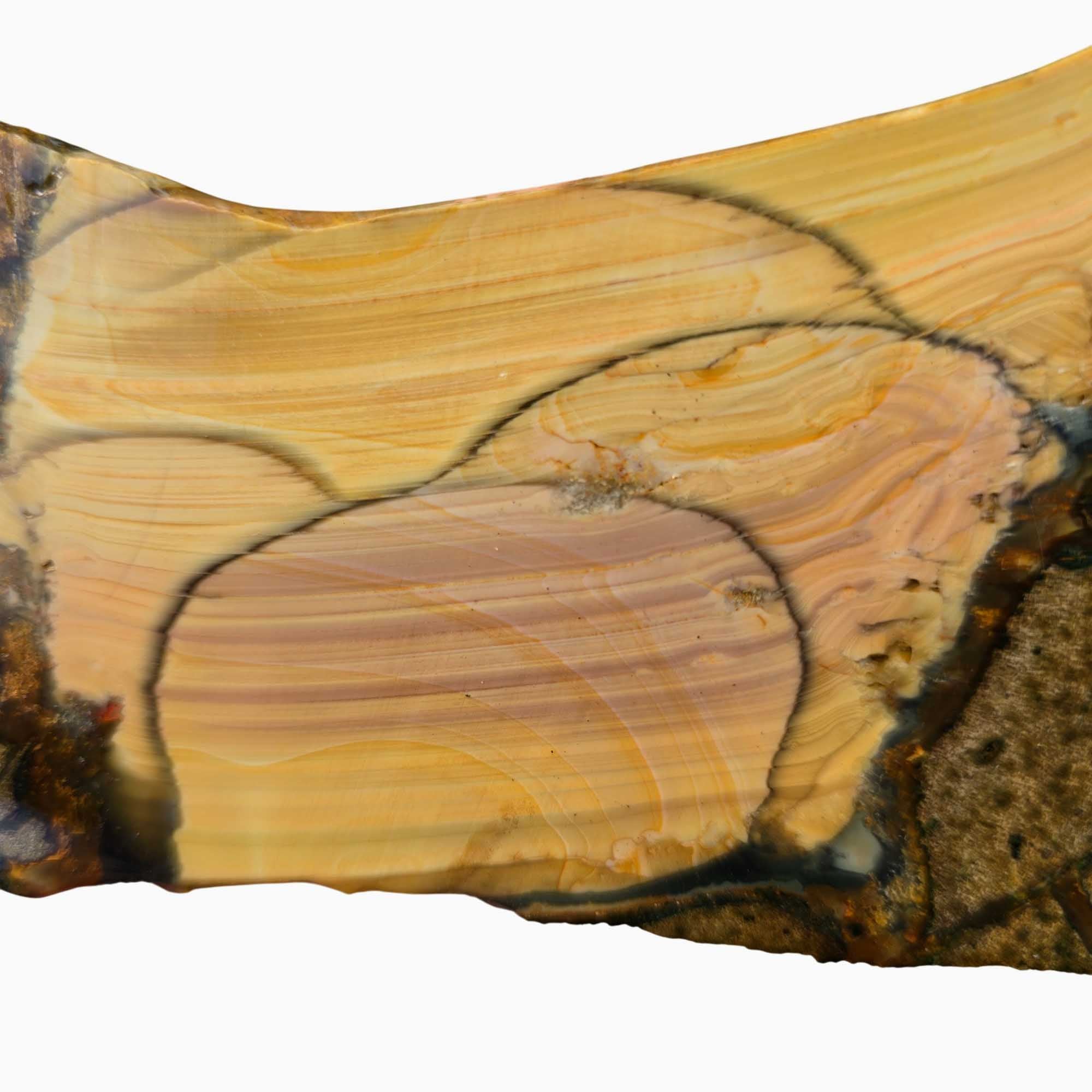 Blue Mountain Jasper Slab - Bubbly Orb Pattern - Oregon