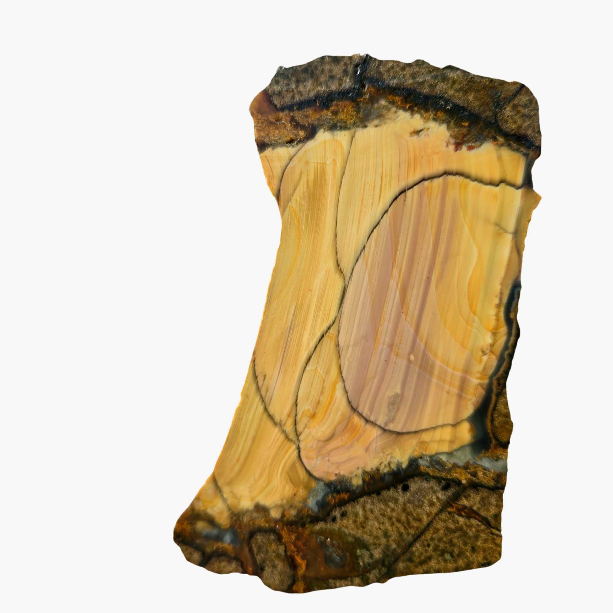 Blue Mountain Jasper Slab - Bubbly Orb Pattern - Oregon