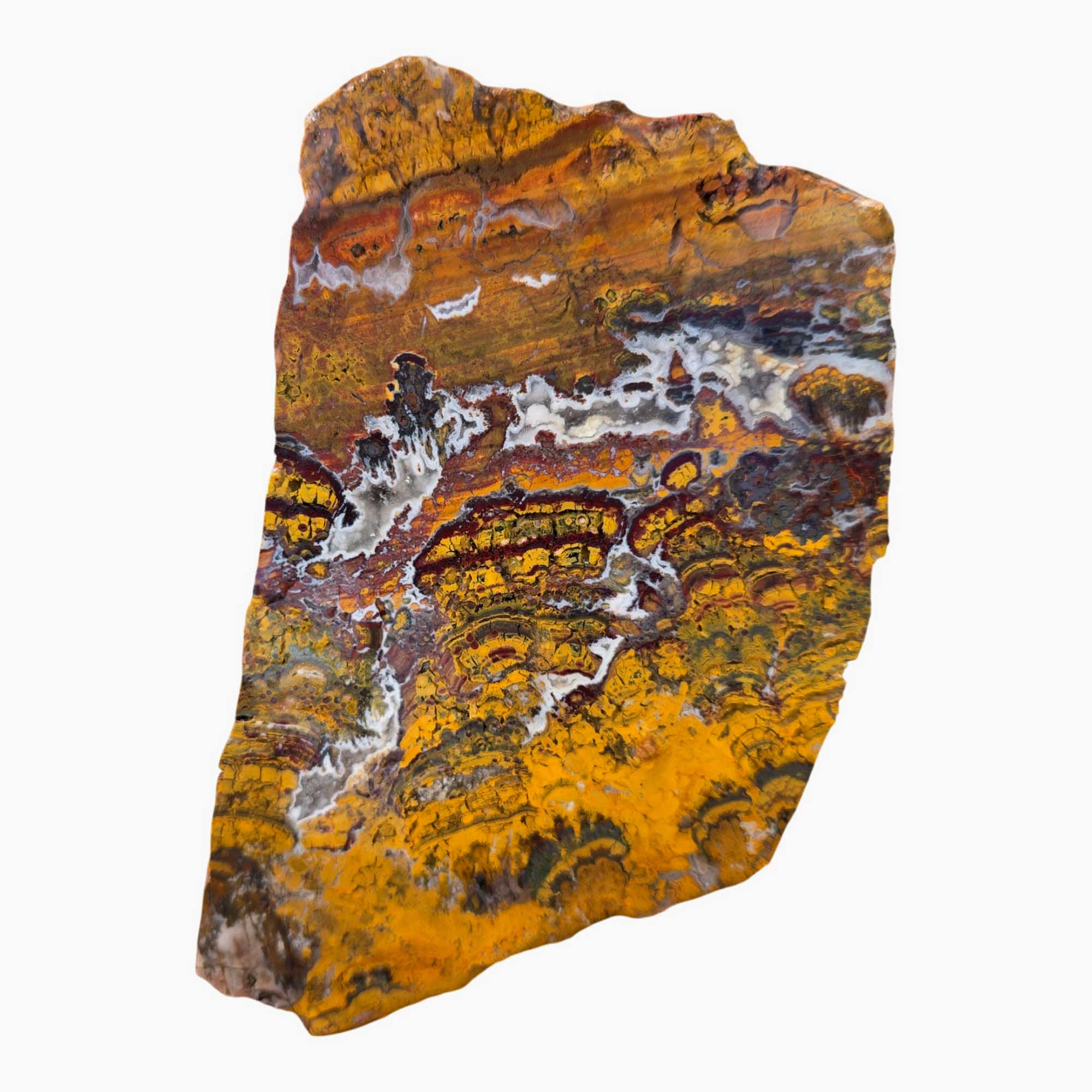 Apple Valley Jasper Slab – Prime Hematite Flowers – Sahara Stromatolite