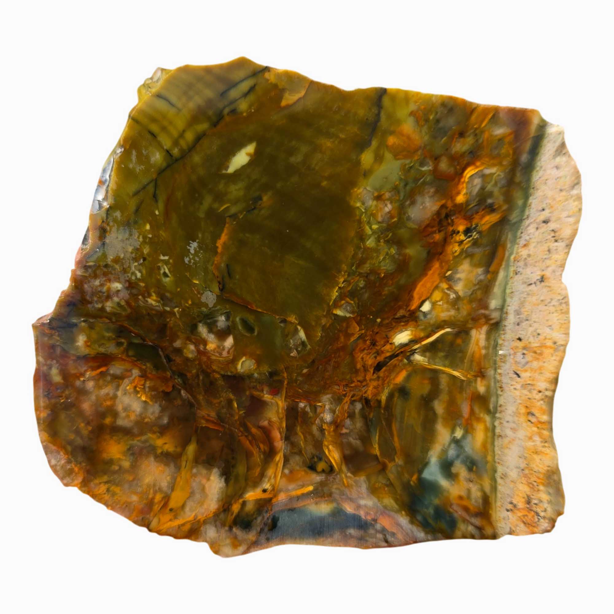 Morrisonite Jasper Slab - Green Butterscotch Blue Mix - Oregon Classic