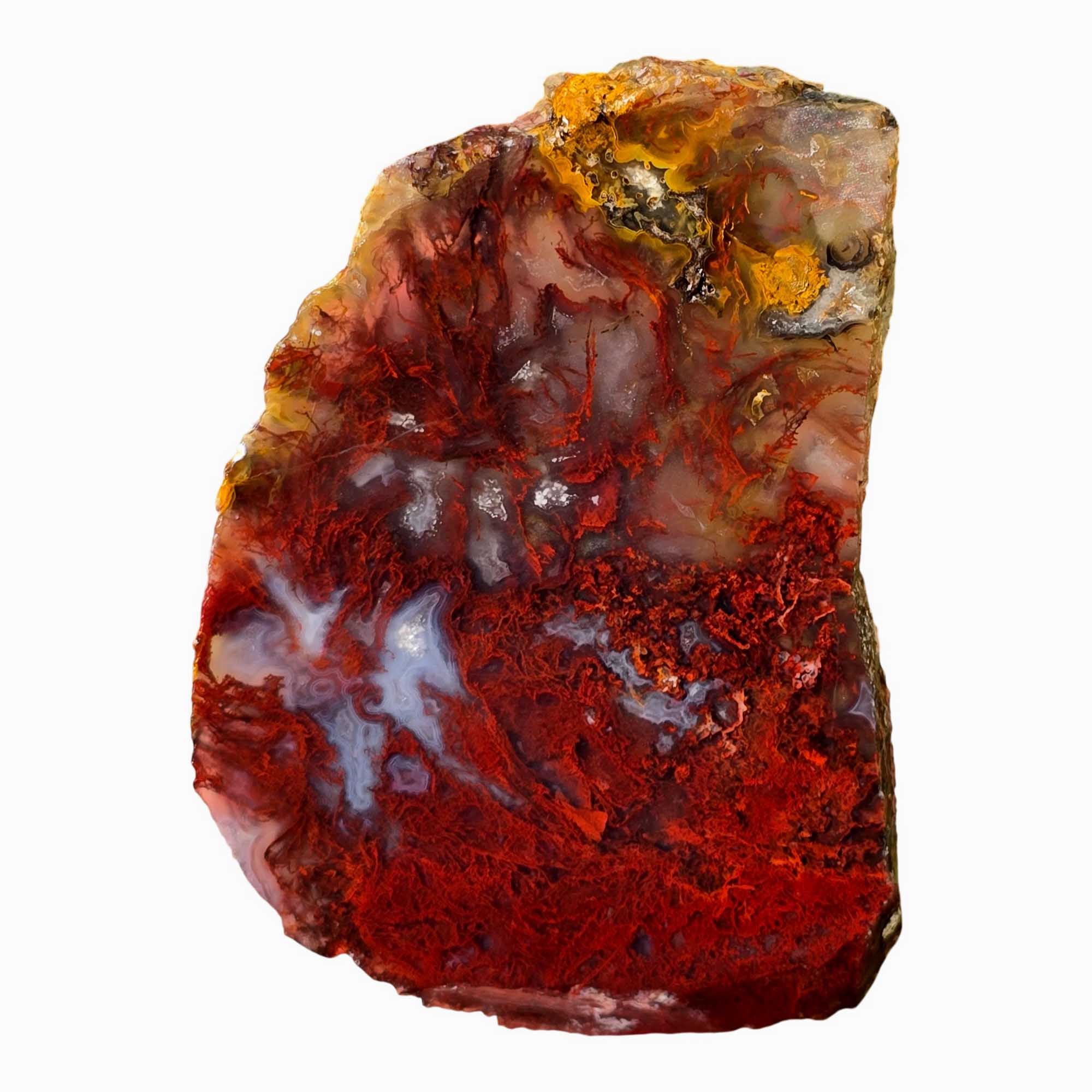 San Carlos Agate Slab – Bright Red Moss Plume Mexico #3668-Photo1