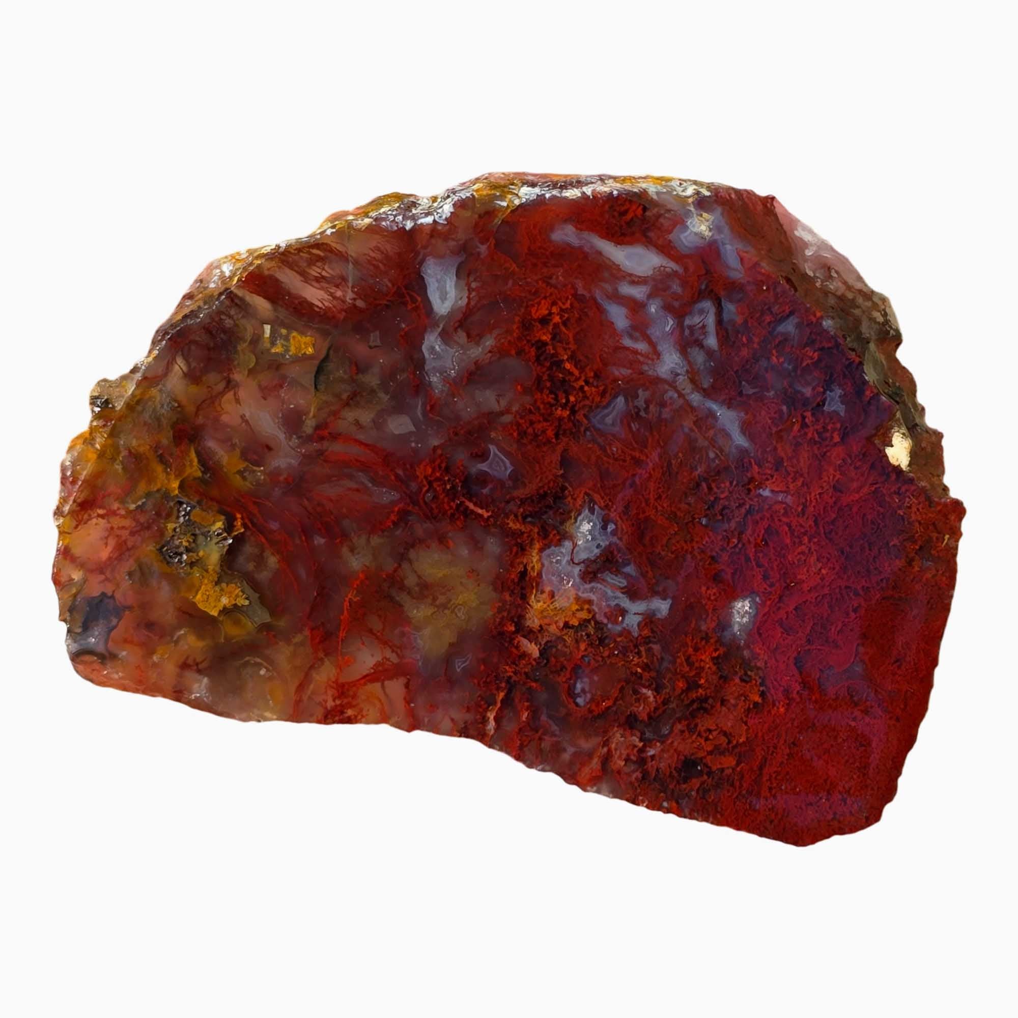 San Carlos Agate Slab – Bright Red Moss Plume Mexico #3668-Photo3