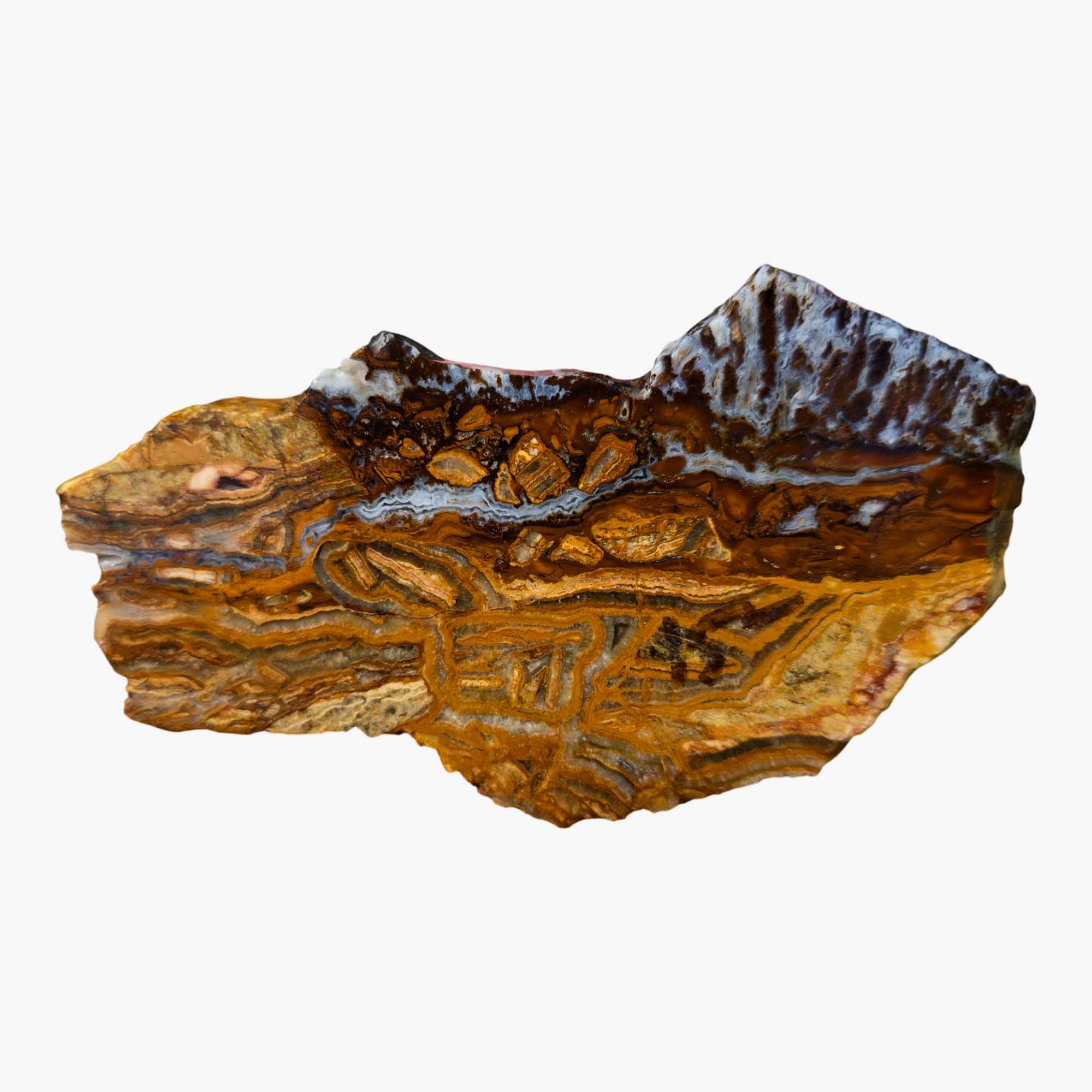 Lysite Agate Slab - Brecciated Blue Wyoming Feldspar Sparkle #3669-Photo2