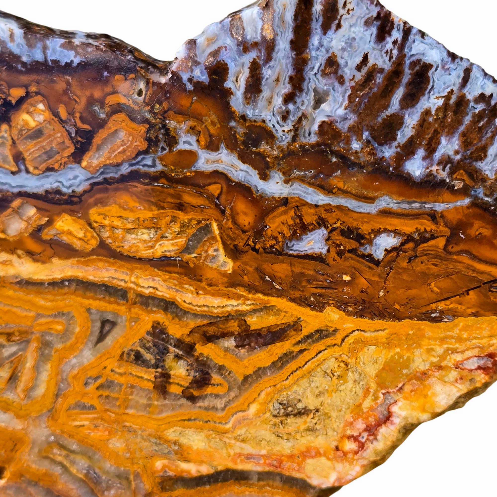 Lysite Agate Slab - Brecciated Blue Wyoming Feldspar Sparkle #3669-Photo3