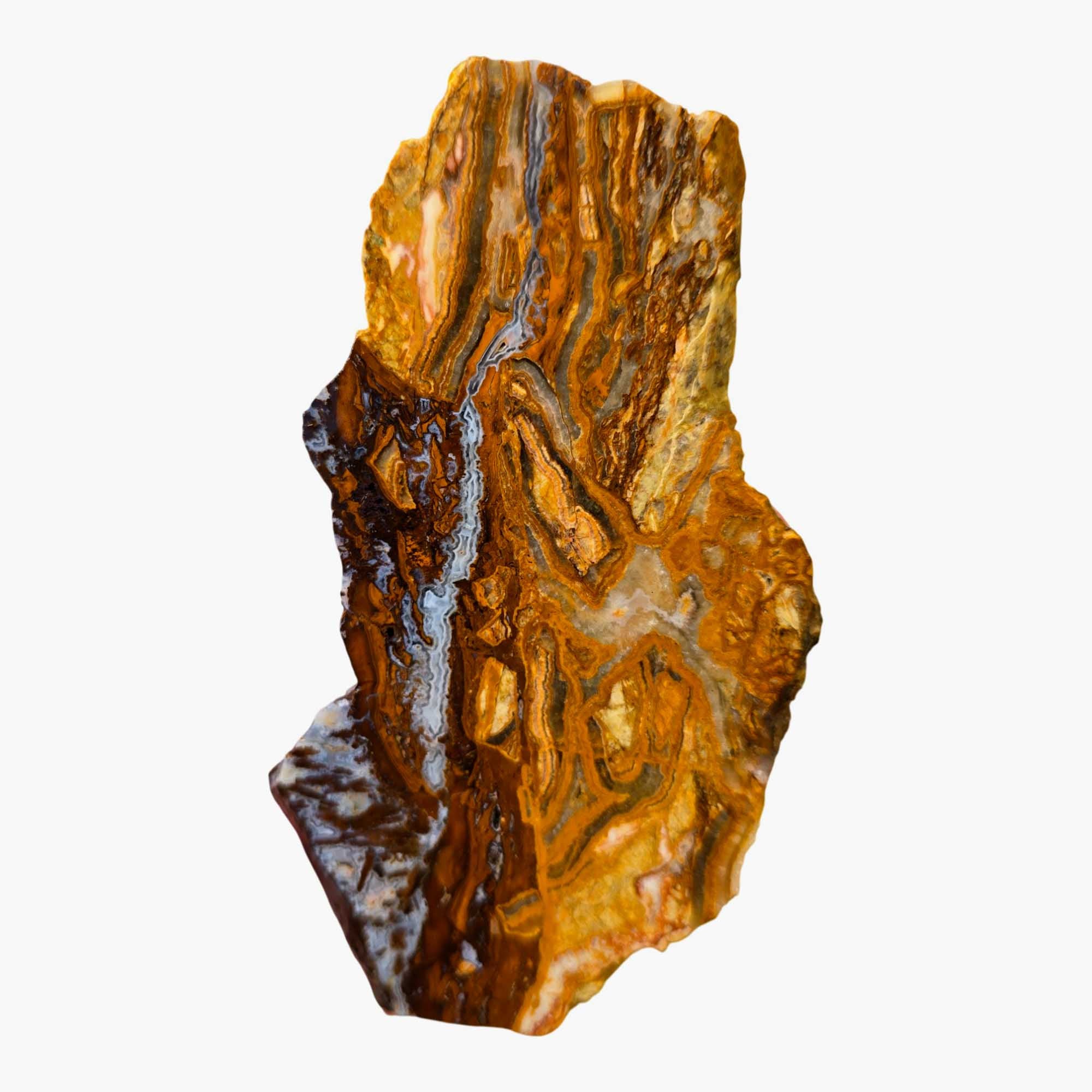 Lysite Agate Slab - Brecciated Blue Wyoming Feldspar Sparkle #3669-Photo4