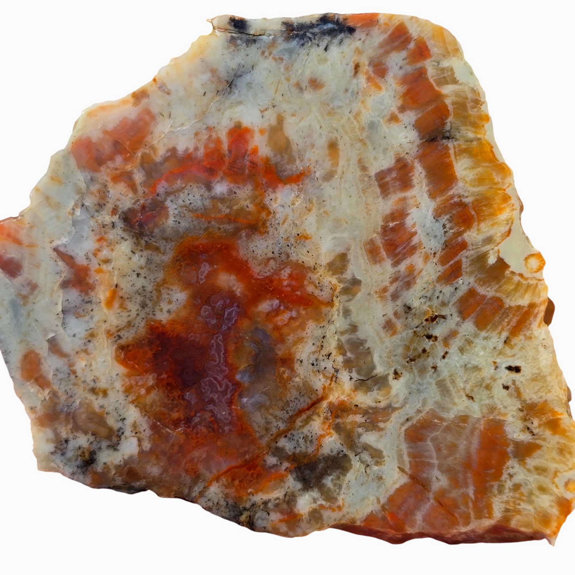 Coprolite Slab - Pink Red Splotches Feldspar Sparkle Utah Fossil #3670-2