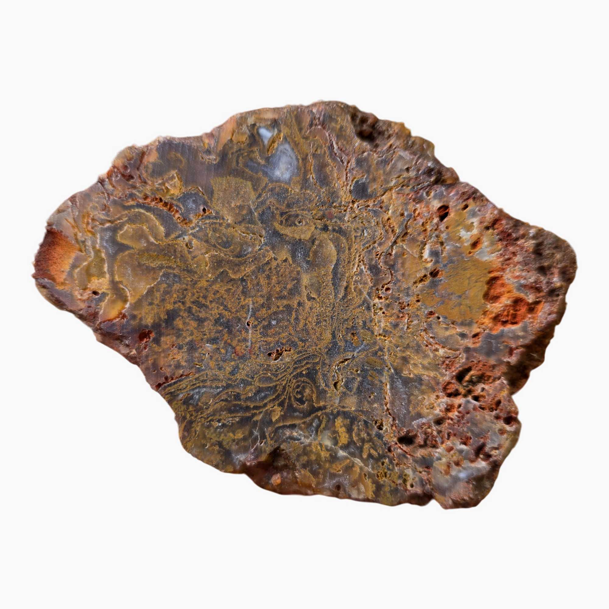 Maury Mountain Moss Agate Slab Dry Orange Golden Red Moss Oregon #3671-Photo5