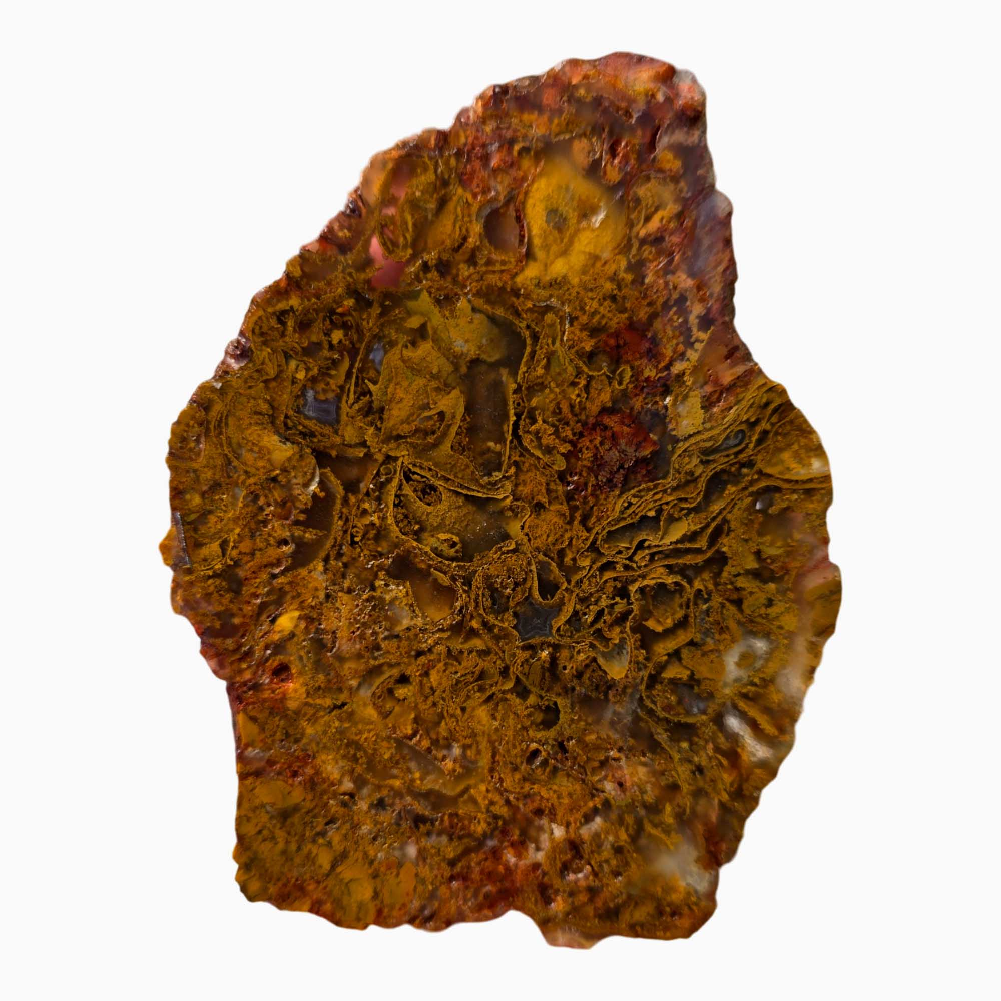 Maury Mountain Moss Agate Slab Orange Golden Red Moss Oregon #3671-Photo4