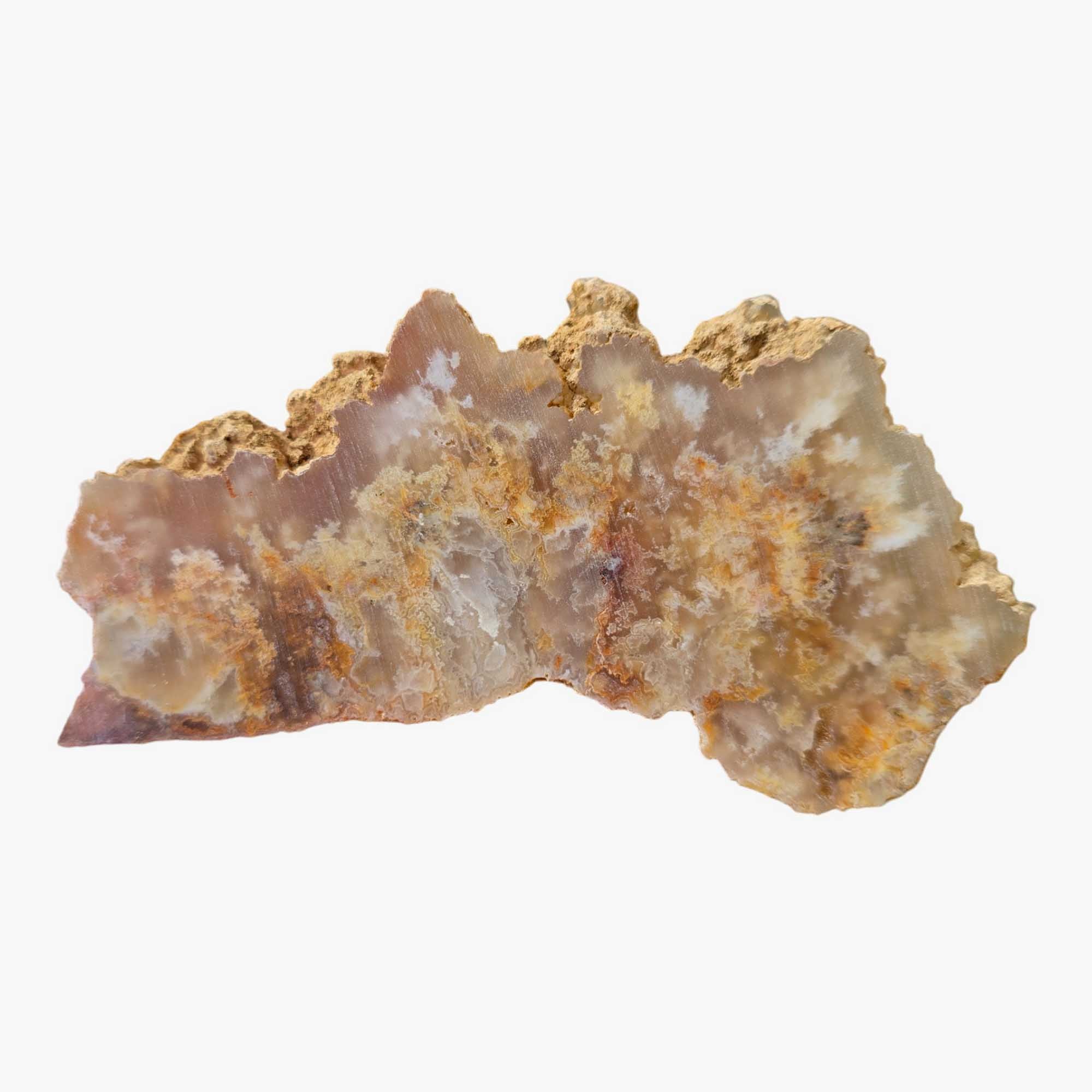 Regency Rose Plume Agate Slab Dry – White Wispy Graveyard Oregon! #3672-Photo6