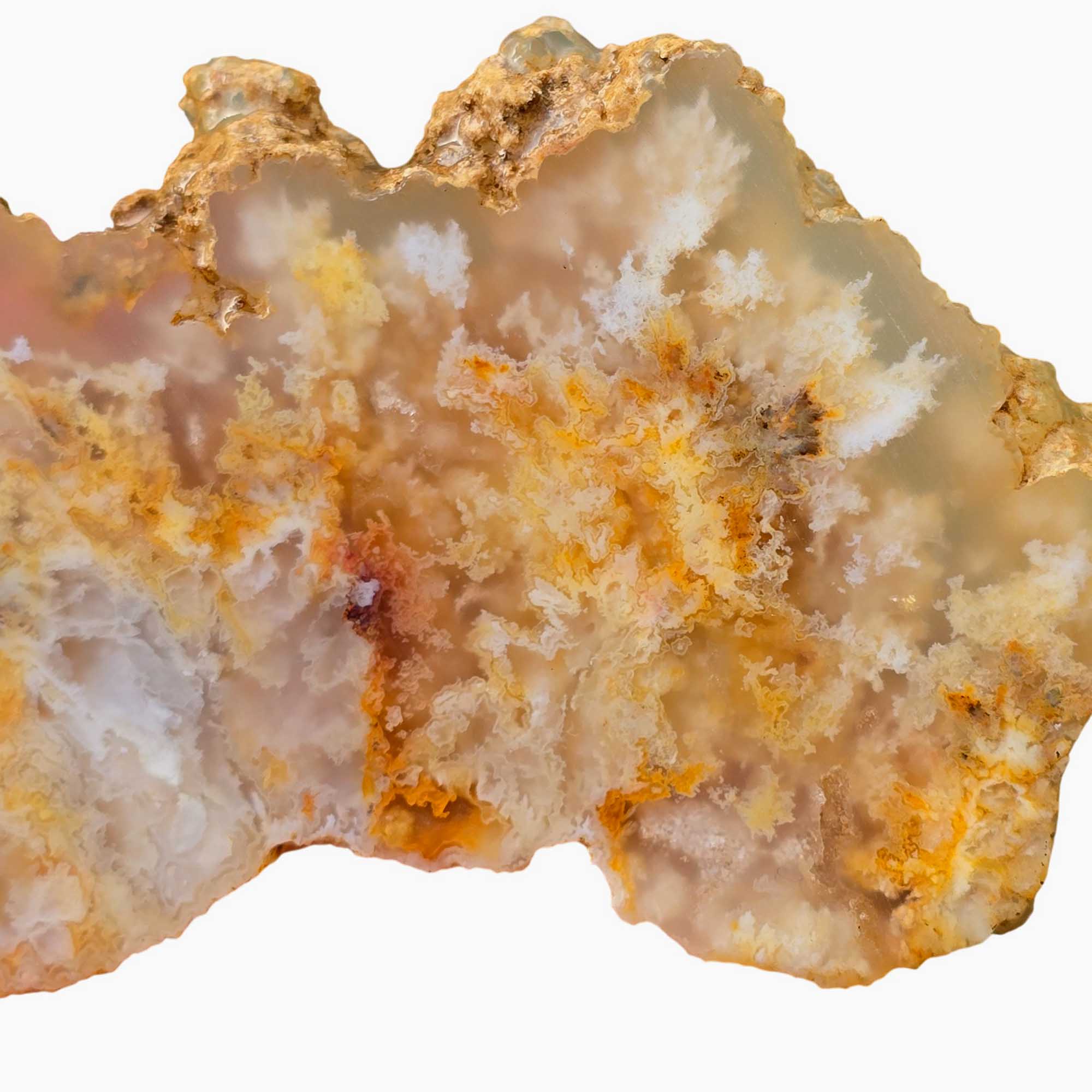 Regency Rose Plume Agate Slab – White Wispy Pointed Structures! #3672-Photo3
