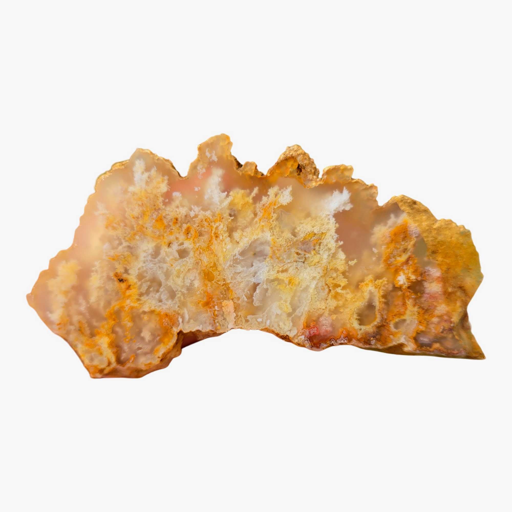 Regency Rose Plume Agate Slab – White Wispy Pointed Structures! #3672-Photo4