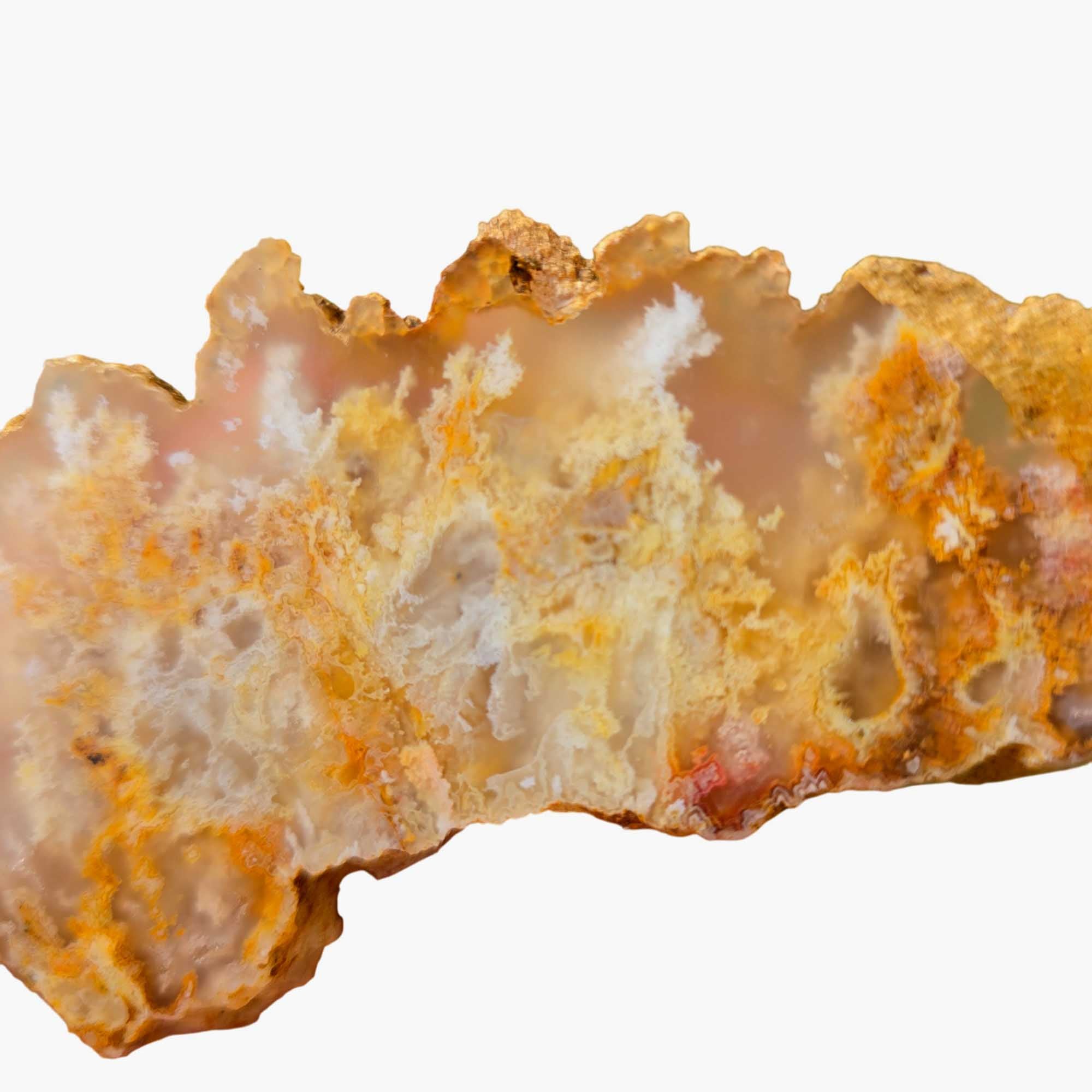 Regency Rose Plume Agate Slab – White Wispy Pointed Structures! #3672-Photo5