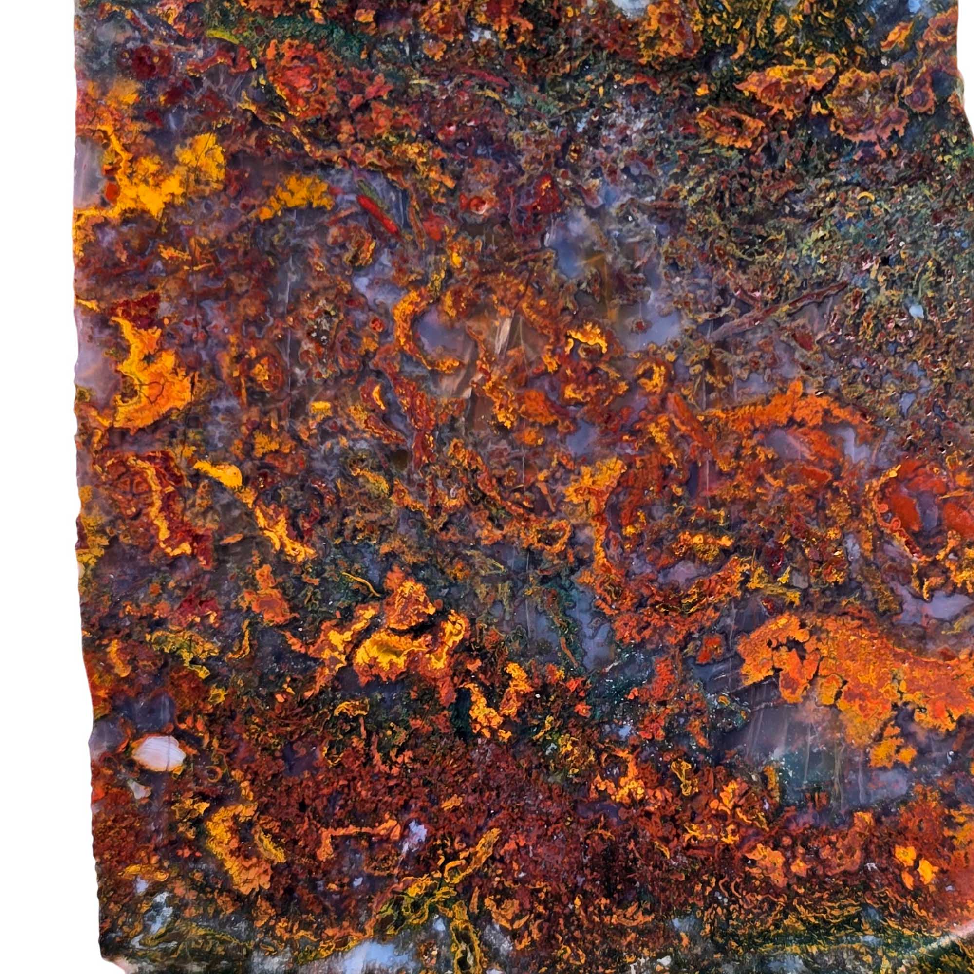 Apple Valley Agate Slab – Underwater Rivers Green Red Moss #3673-Photo4