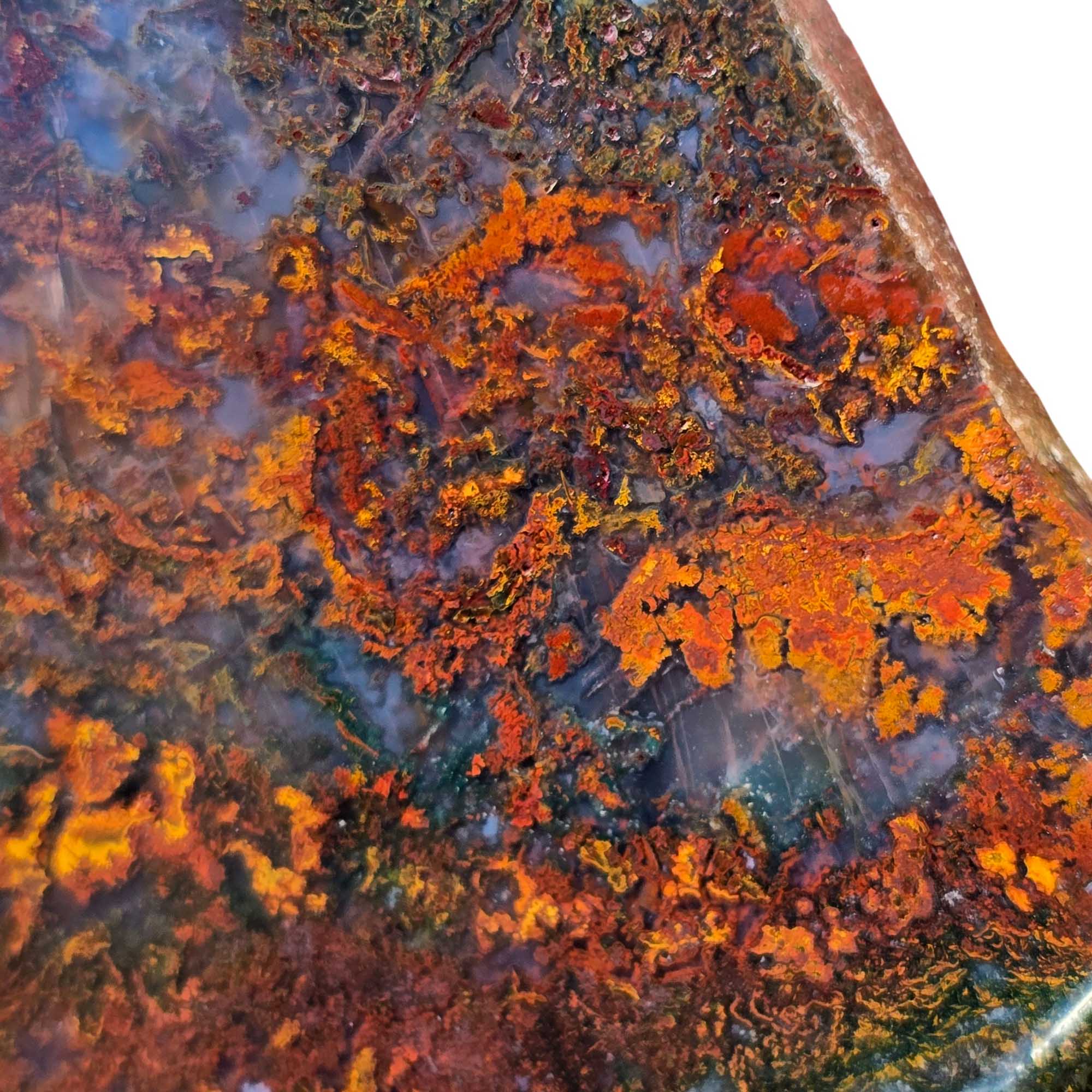 Apple Valley Agate Slab – Underwater Rivers Green Red Moss #3673-Photo2