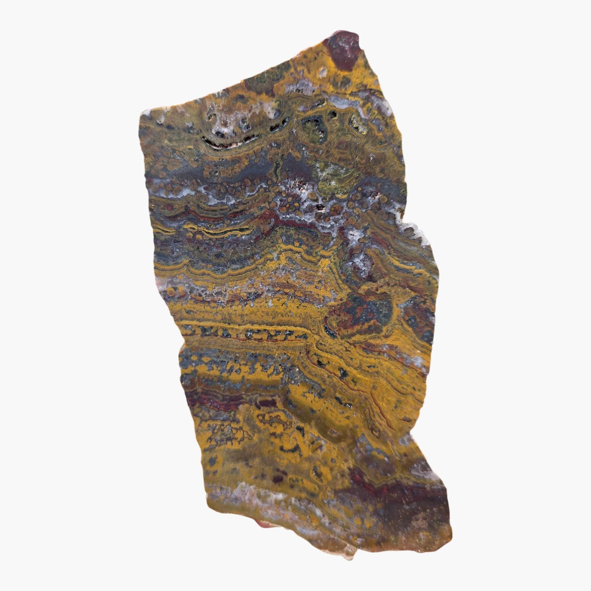 Apple Valley Jasper Slab Dry – Stromatolite Hematite Sahara Fossil #3675-Photo5