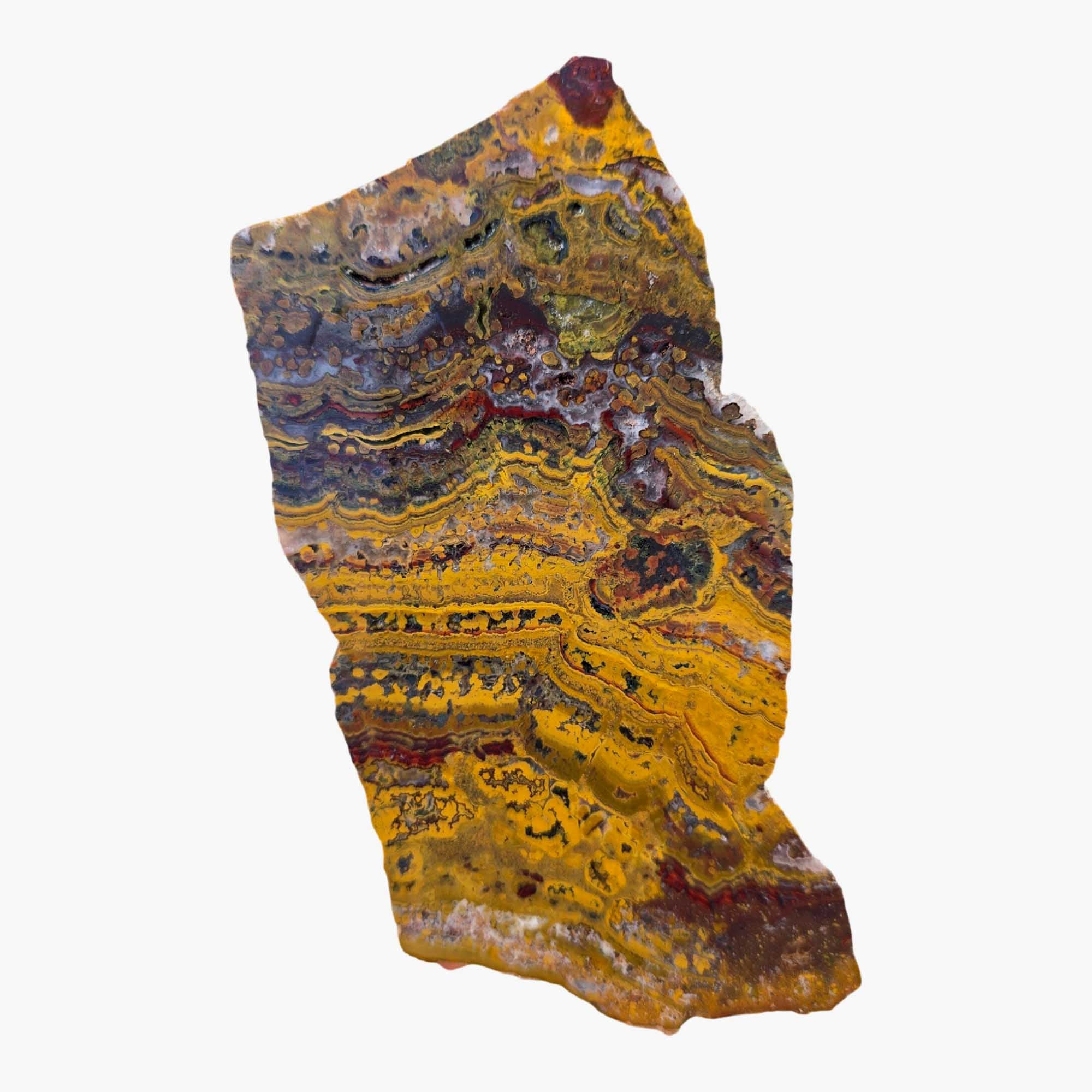 Apple Valley Jasper Slab – Stromatolite Hematite Sahara Fossil #3675-Photo4