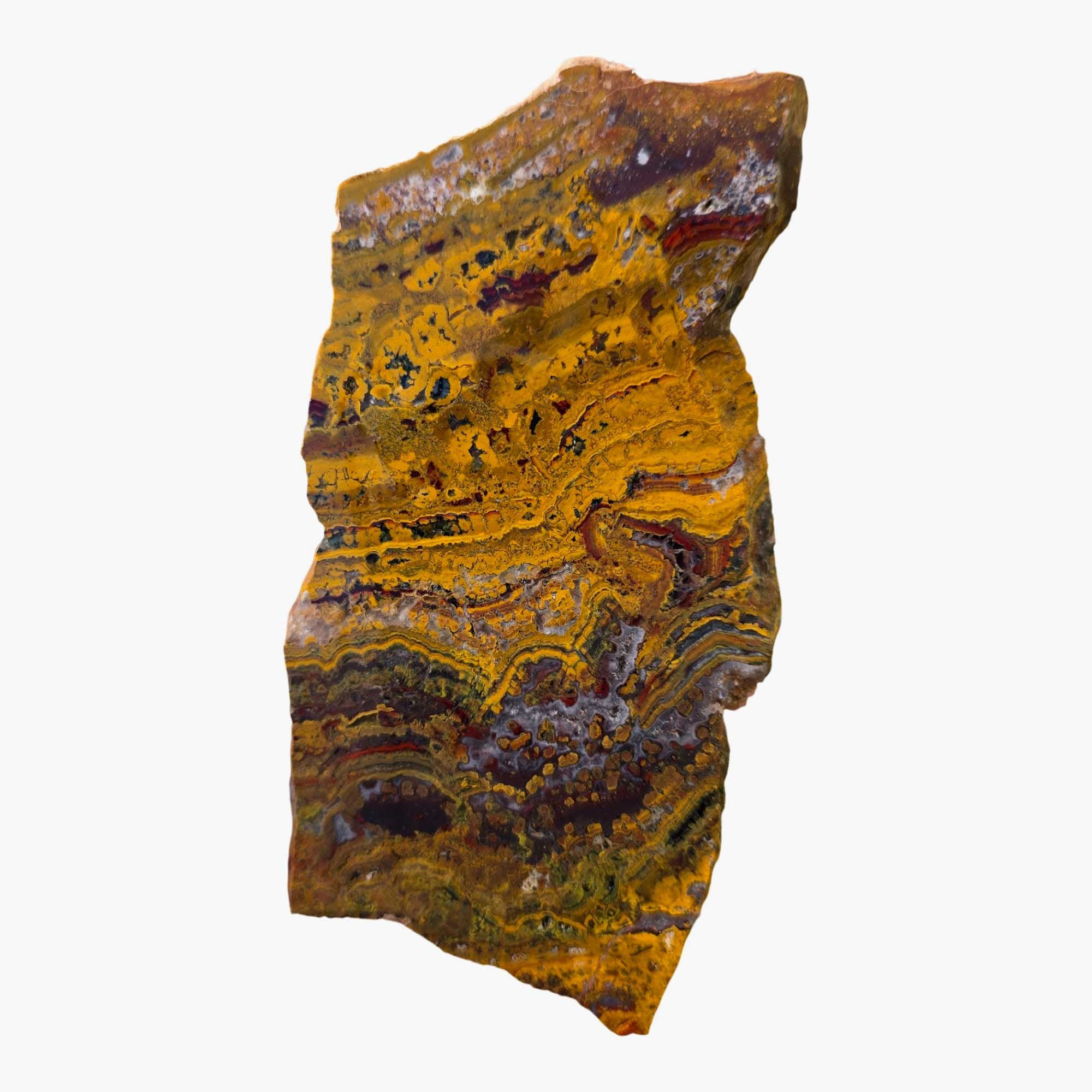 Apple Valley Jasper Slab – Stromatolite Hematite Sahara Fossil #3675-Photo2