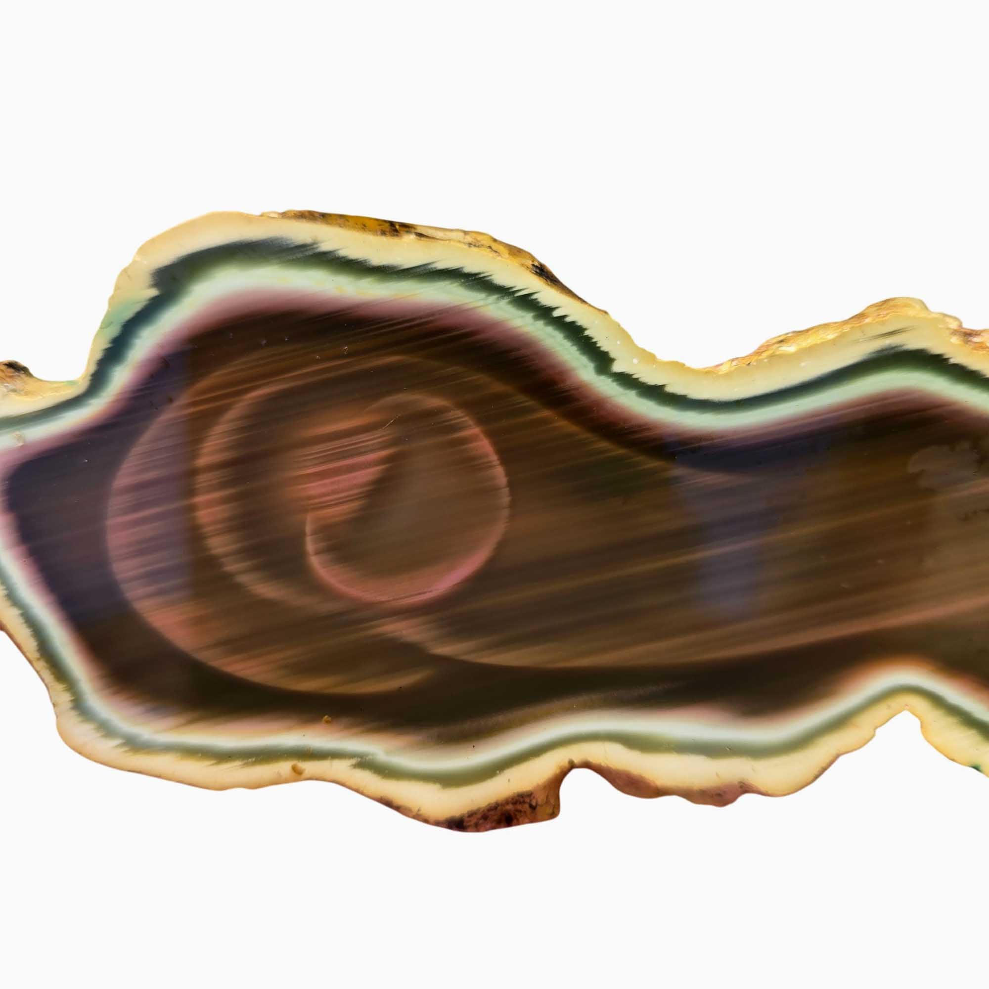 Royal Imperial Jasper Slab - Dodo Bird Scene Backlit Translucent #3677-Photo3