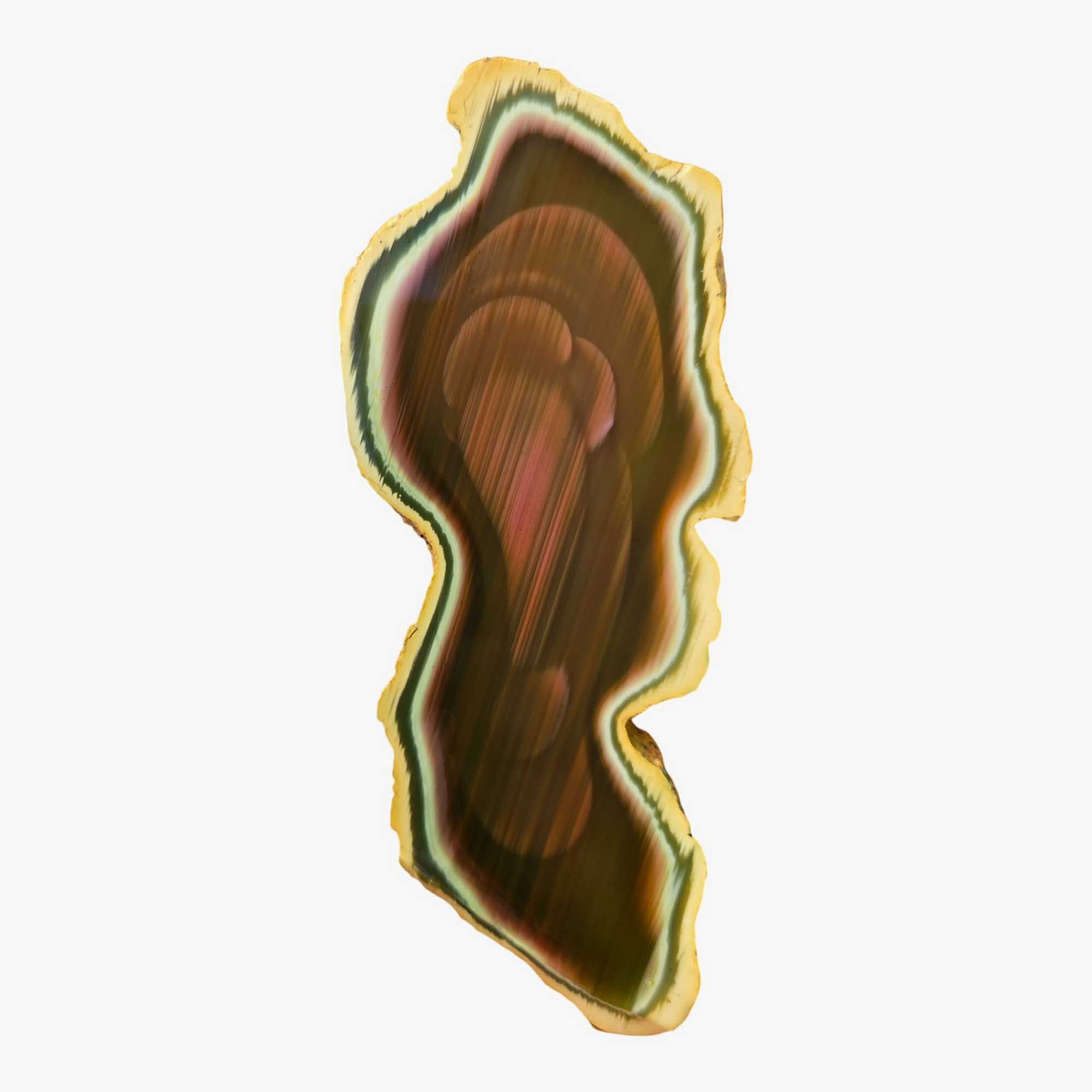 Royal Imperial Jasper Slab - Dodo Bird Scene Backlit Translucent #3677-Photo5