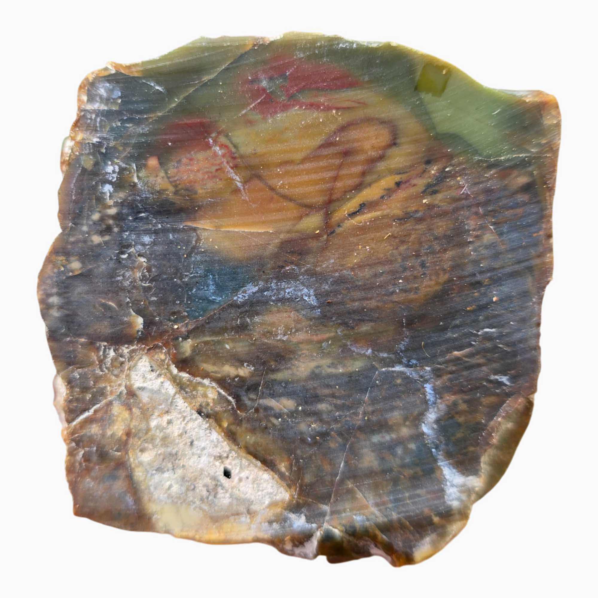 Morrisonite Jasper Slab Dry - Green Butterscotch Red Oregon Old Stock #3678-Photo4