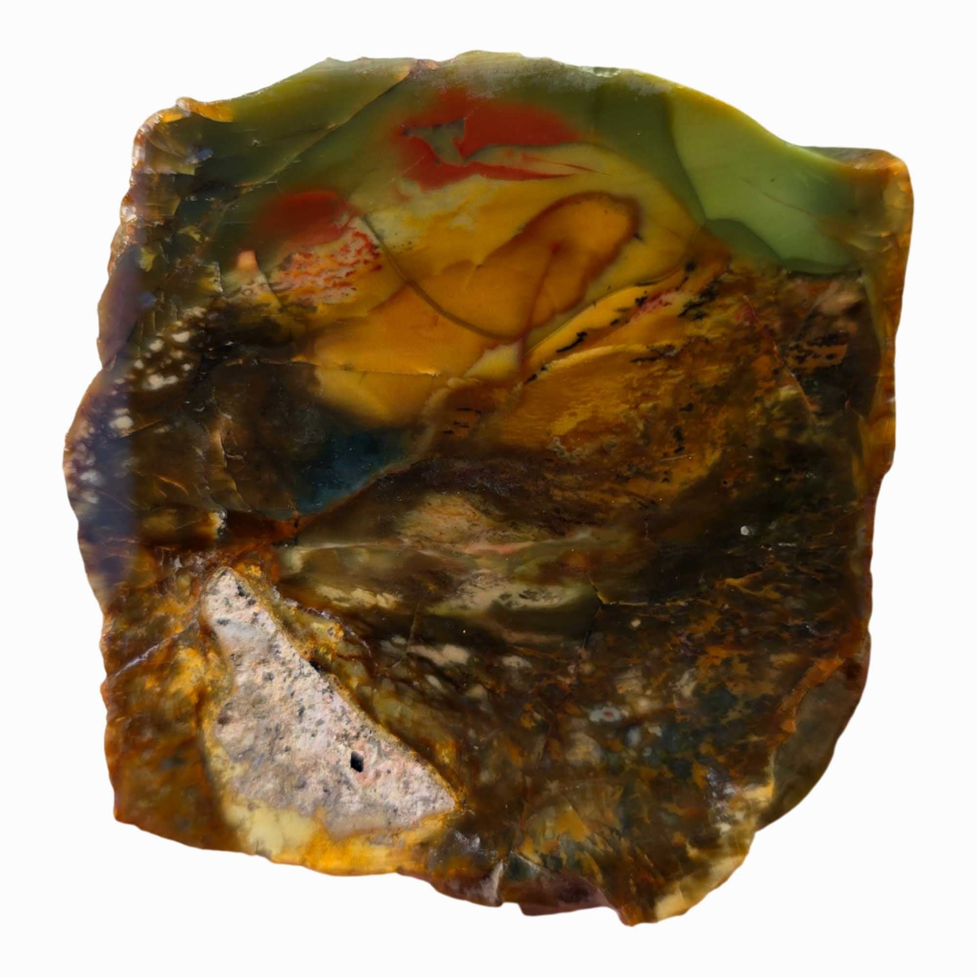 Morrisonite Jasper Slab - Green Butterscotch Red Oregon Old Stock #3678-Photo3