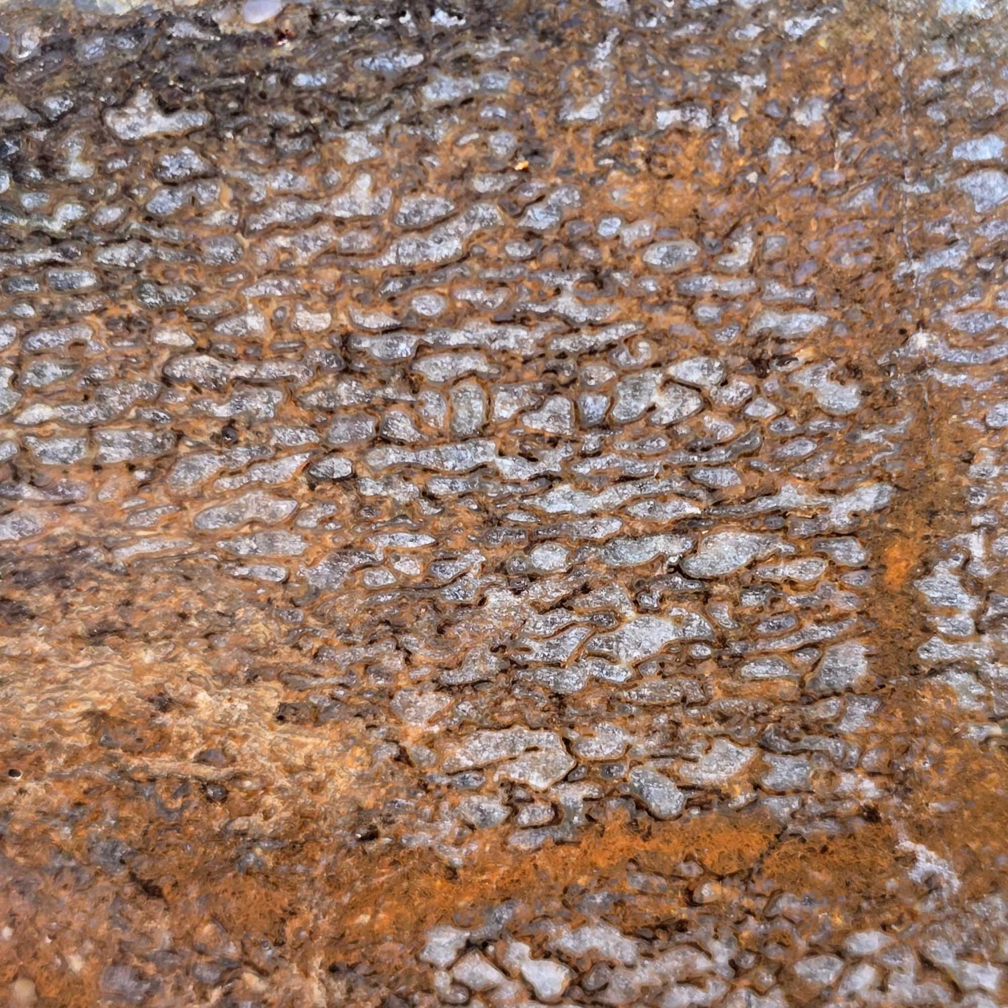 Gem Dinosaur Bone Slab – Blue Agate Cell Pattern Utah Fossil #3679-Photo1