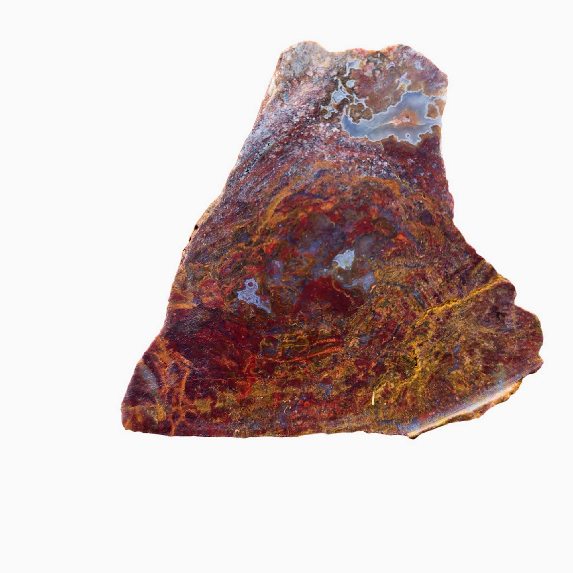 San Carlos Agate Slab Dry – Bright Red Moss Blue Druzy Mexico #3681-Photo4