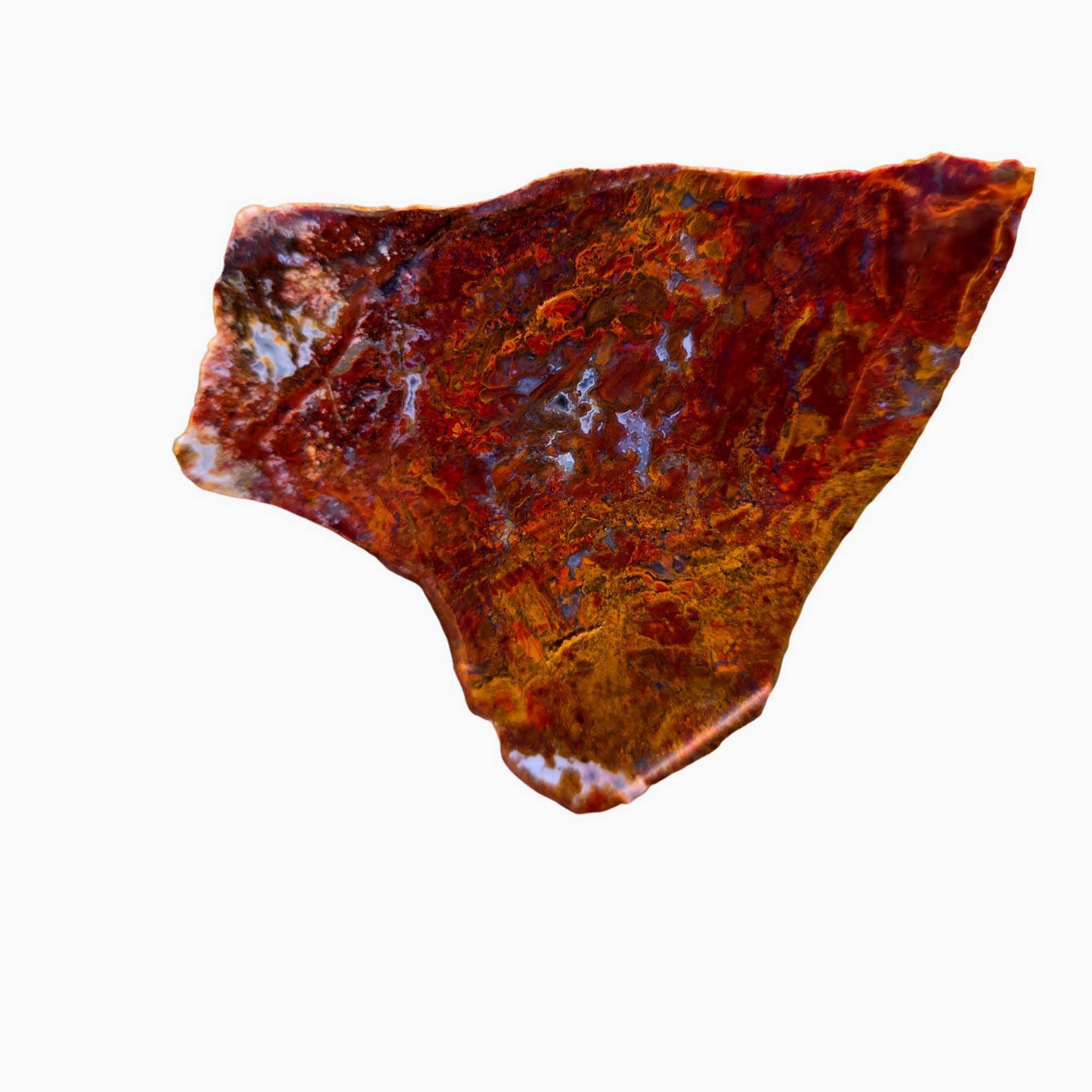 San Carlos Agate Slab – Bright Red Moss Blue Druzy Mexico #3681-Photo3