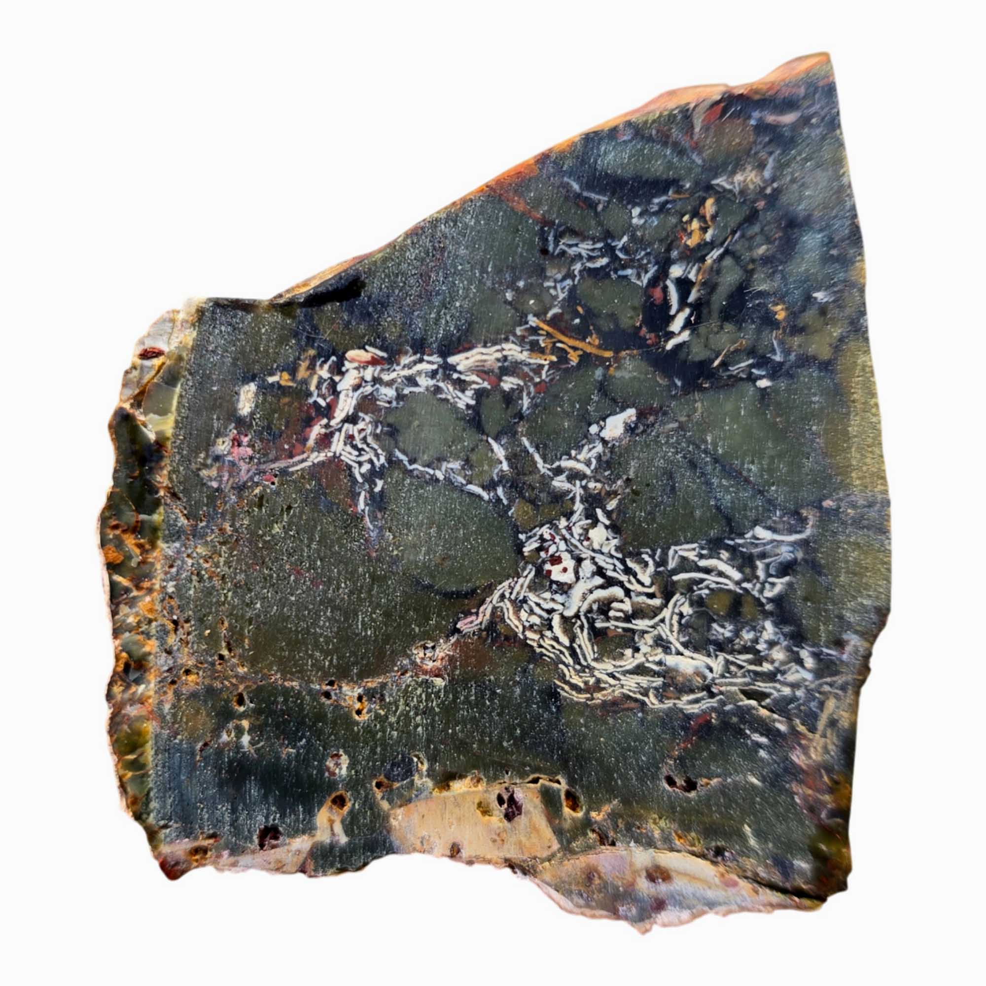 Whisky Creek Brecciated Jasper Slab Dry – Green White Flecks Idaho! #3682-Photo4