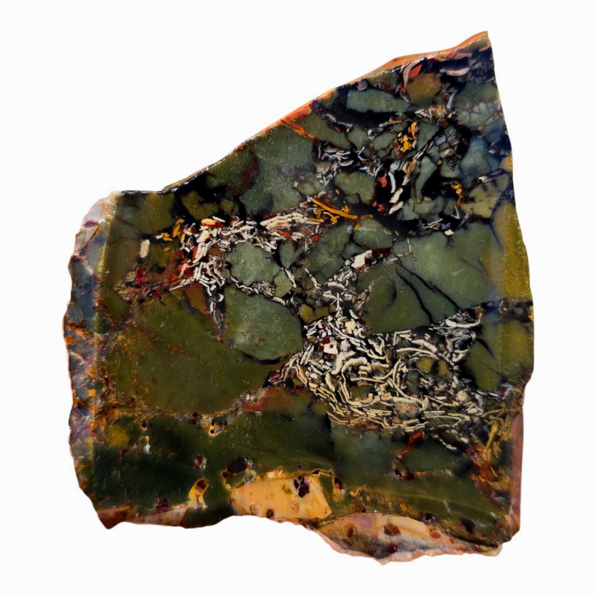 Whisky Creek Brecciated Jasper Slab – Green White Flecks Idaho! #3682-Photo3