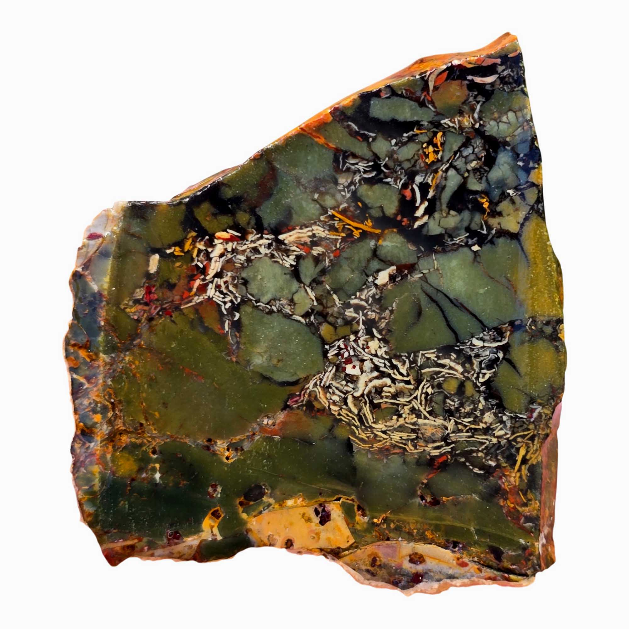 Whisky Creek Brecciated Jasper Slab – Green White Flecks Idaho! #3682-Photo2