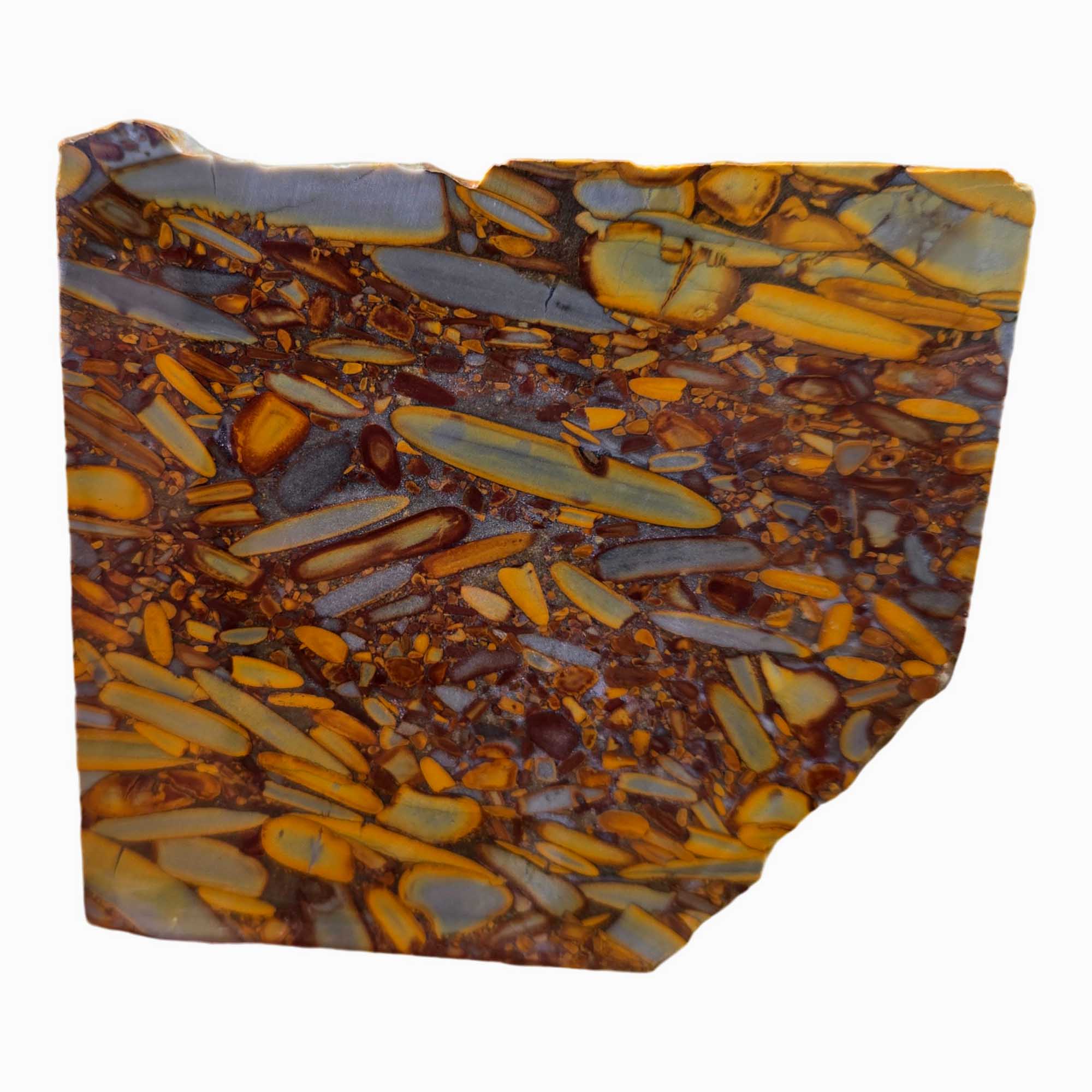 Bamboo Jasper Slab – Conglomerate Pattern Indonesian Premium Wet #3684-Photo2