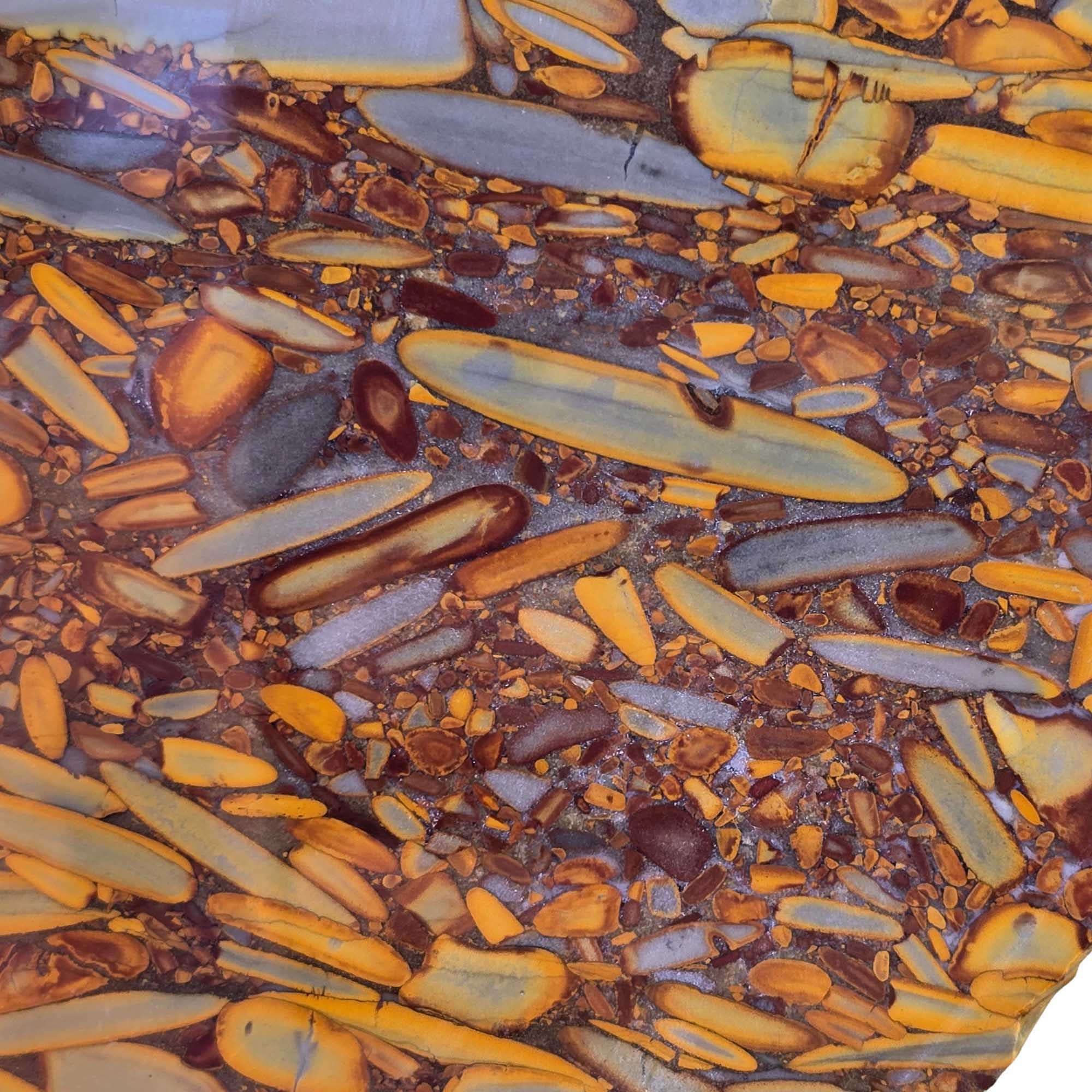 Bamboo Jasper Slab – Conglomerate Pattern Indonesian Premium Wet #3684-Photo3