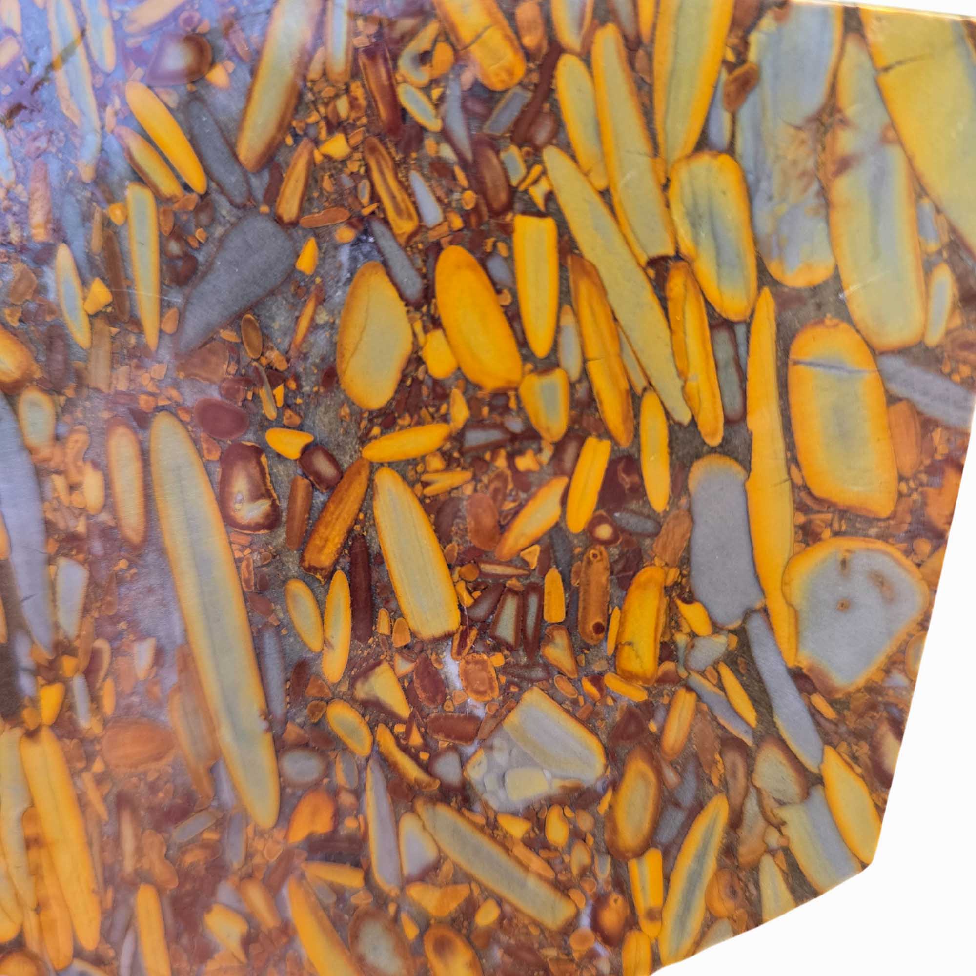 Bamboo Jasper Slab – Conglomerate Pattern Indonesian Premium Wet #3684-Photo4