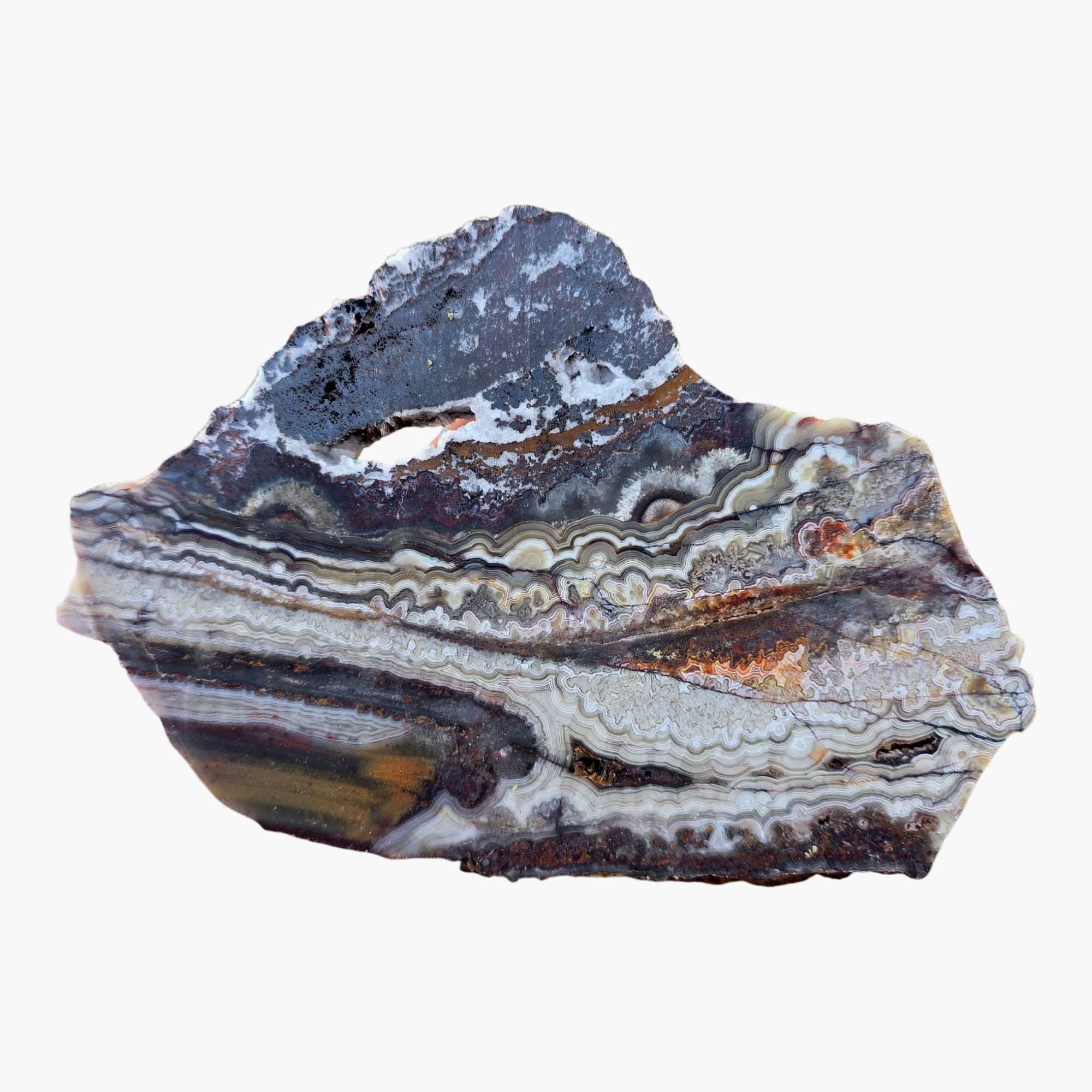 Crazy Lace Agate Slab Dry Laguna Red Fireworks Mexican Vintage #3685-Photo6