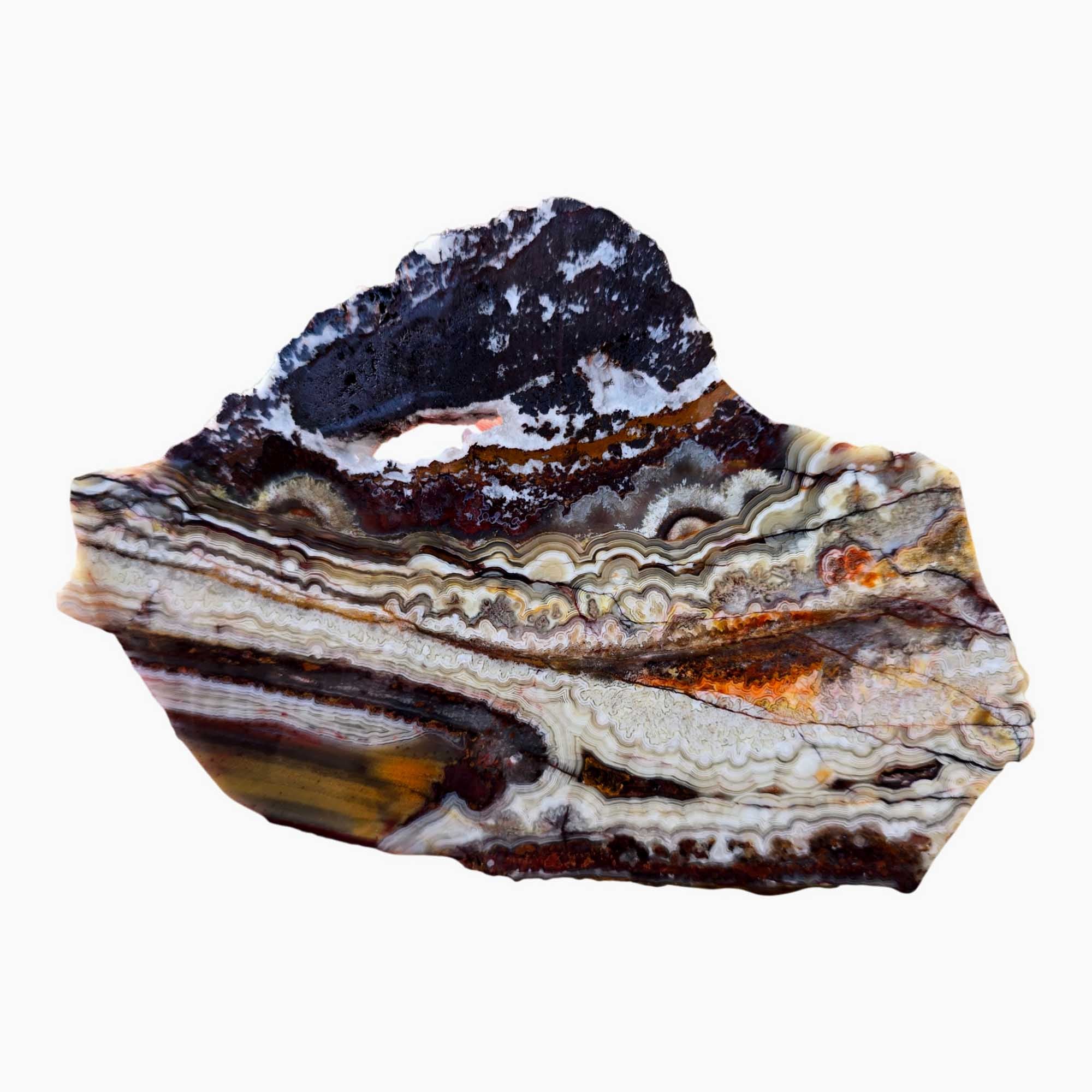 Crazy Lace Agate Slab Laguna Red Fireworks Mexican Vintage #3685-Photo1