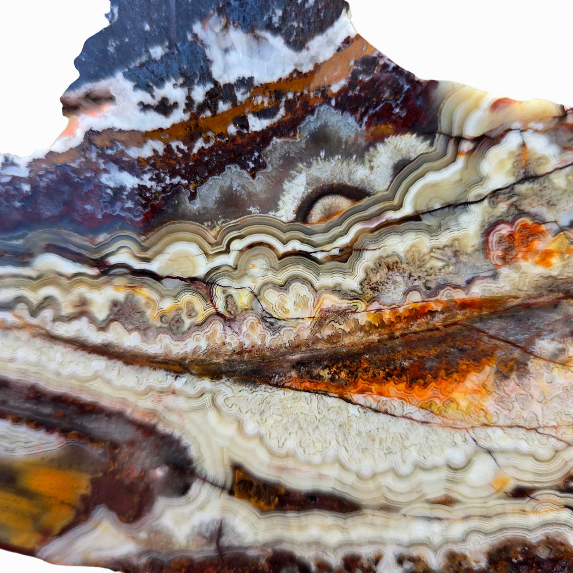 Crazy Lace Agate Slab Laguna Red Fireworks Mexican Vintage #3685-Photo2
